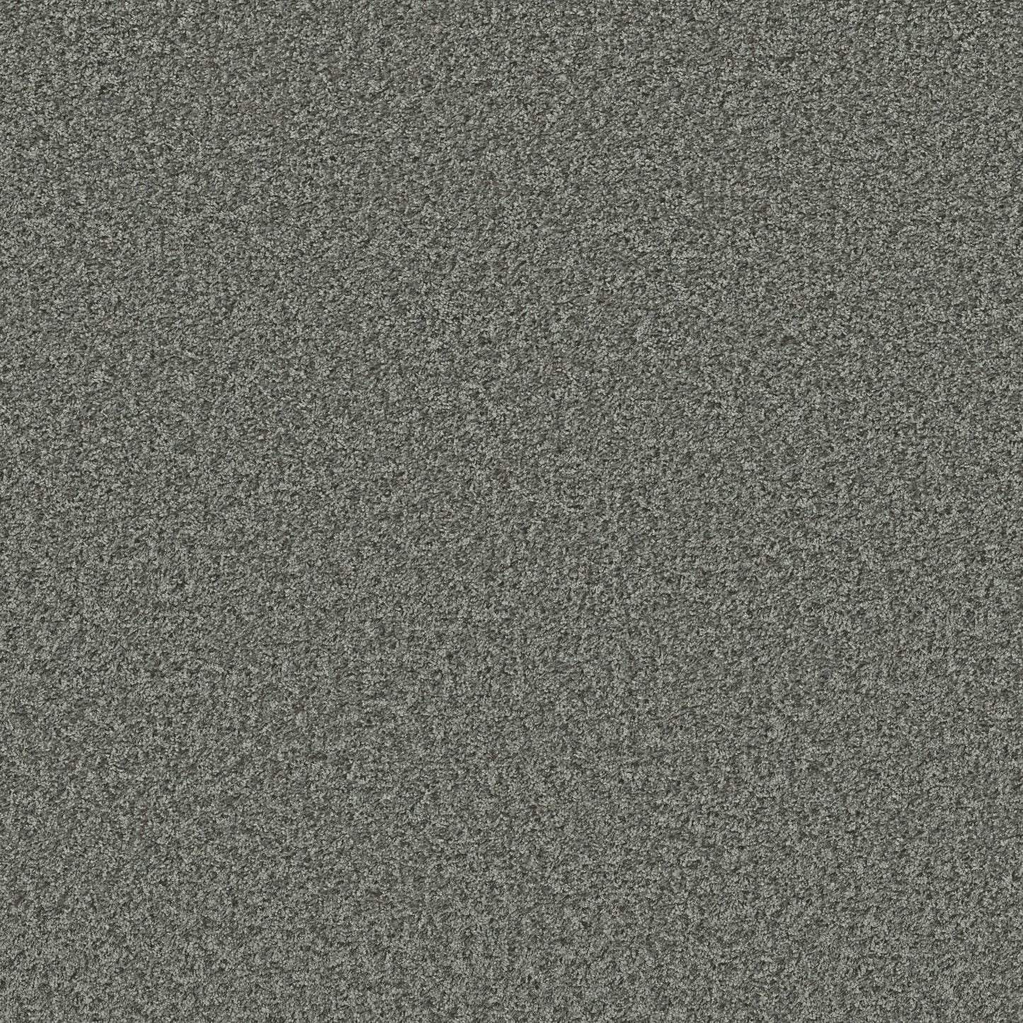 XV994