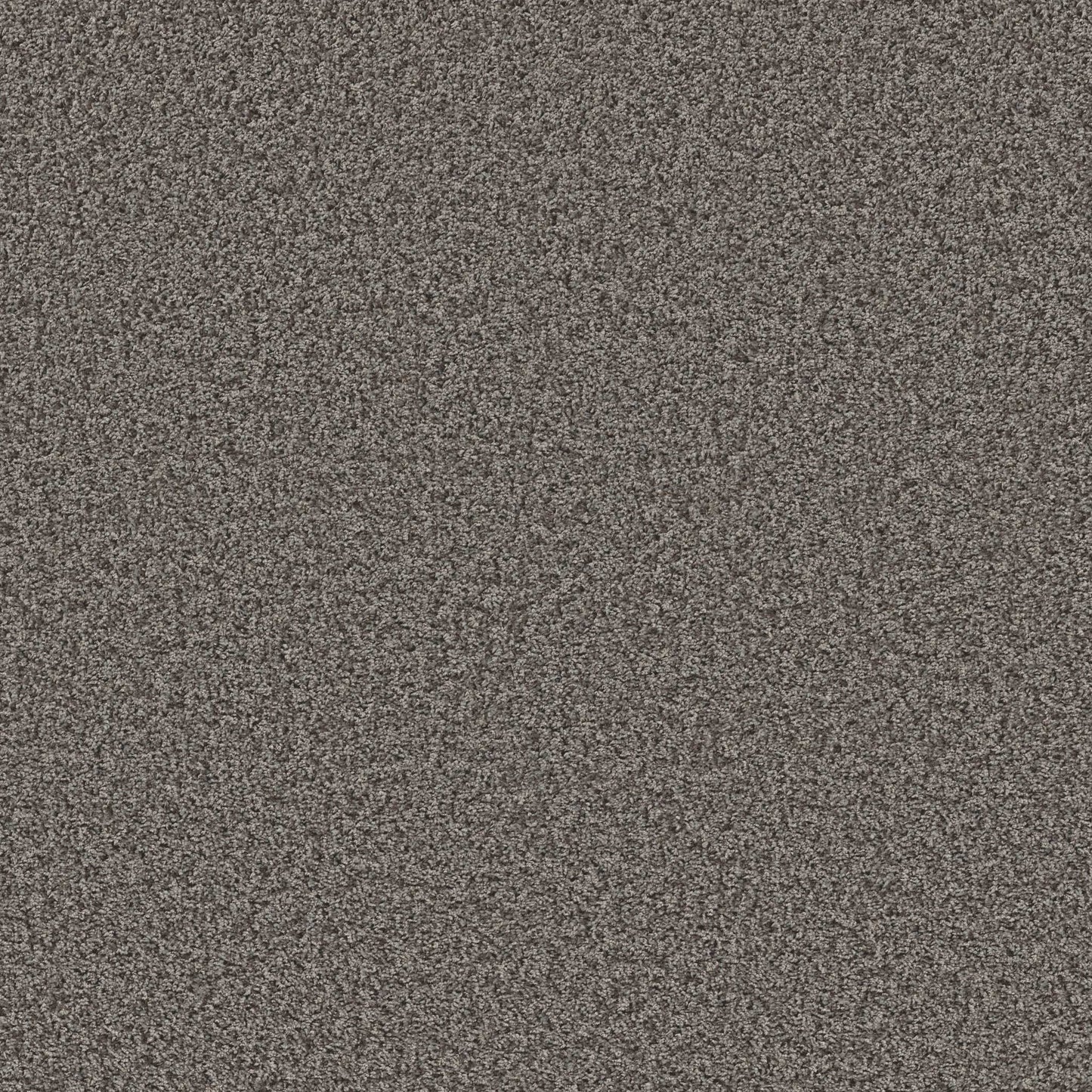 XV994