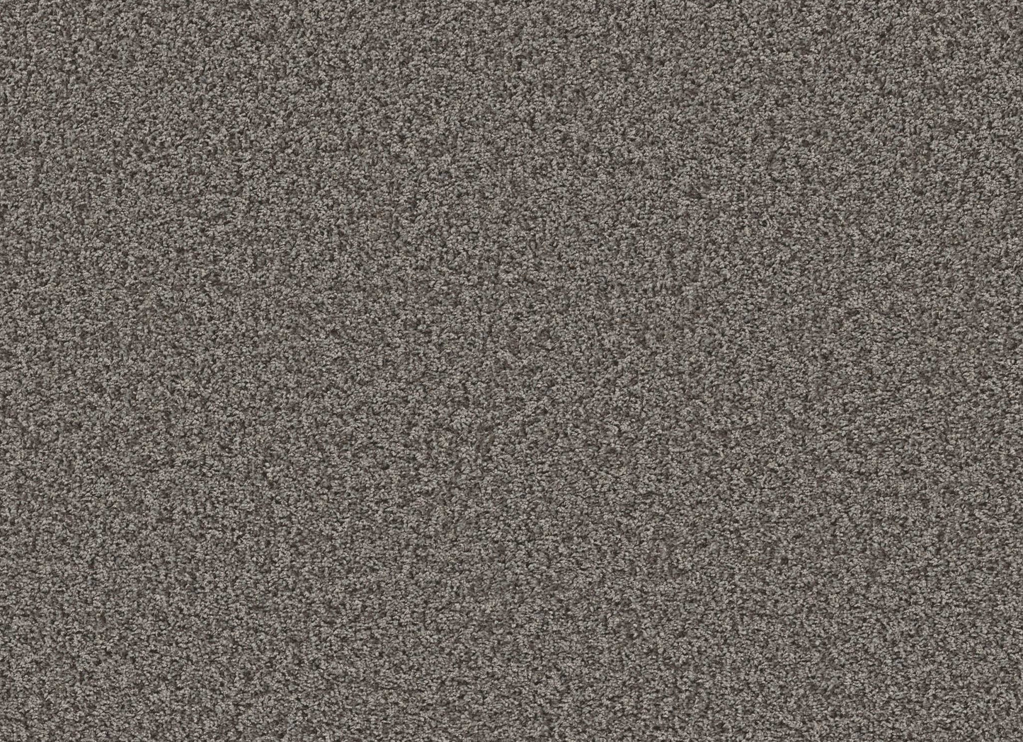XV994