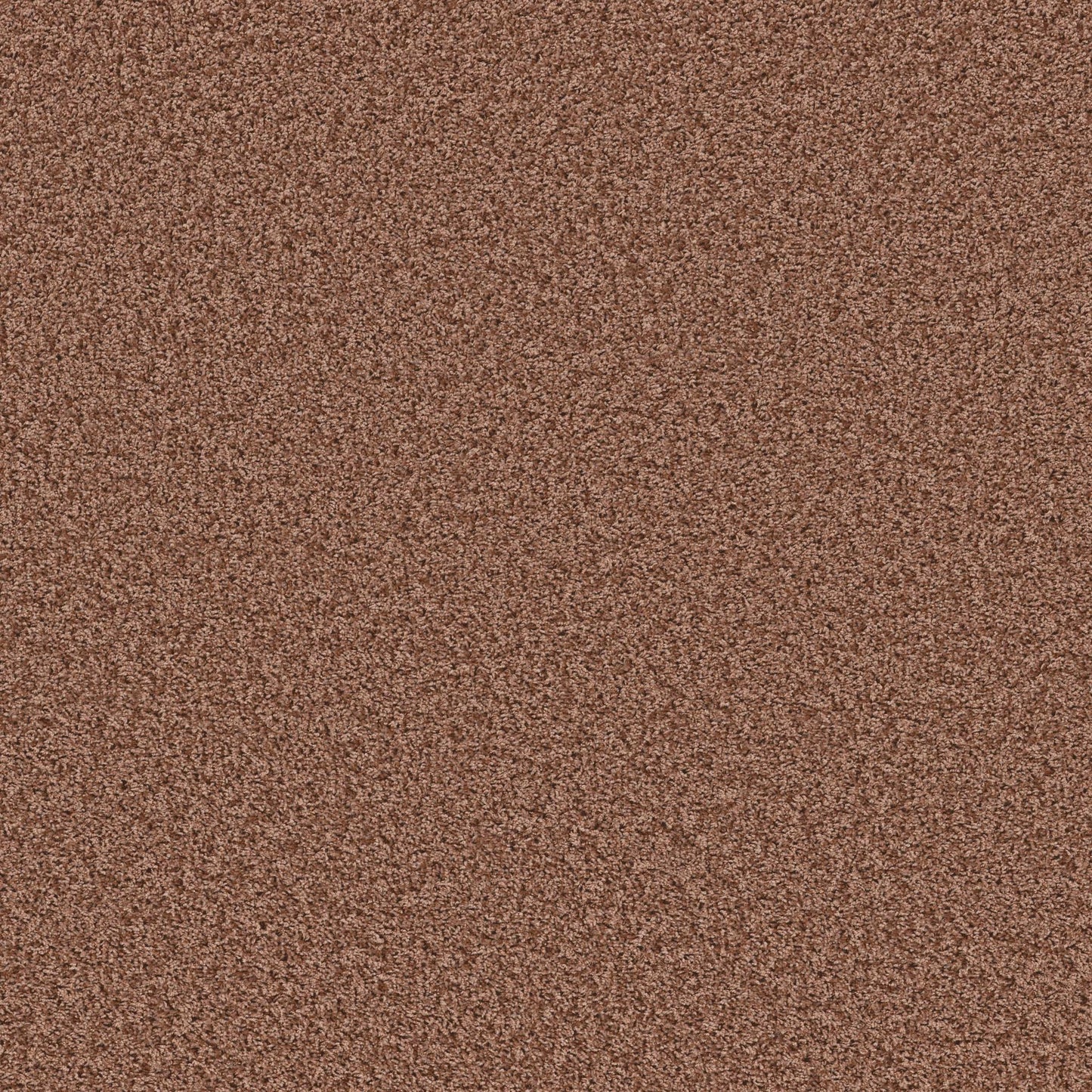 XV994