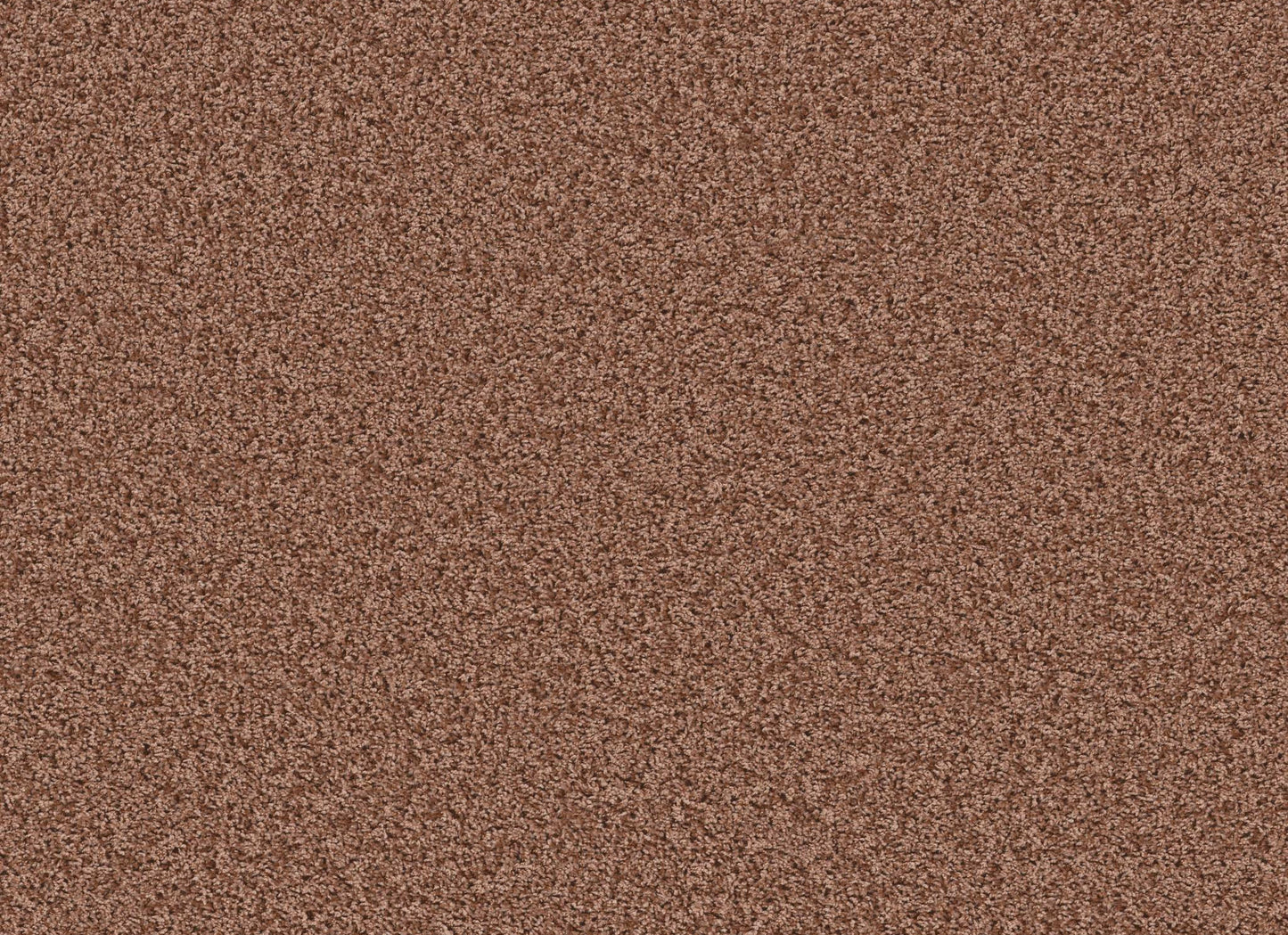 XV994
