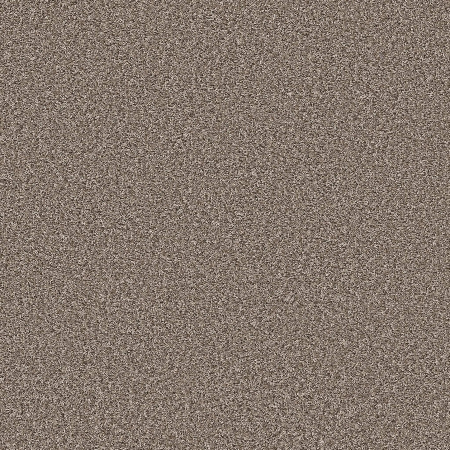 XV994 in Tempting Taupe Carpet