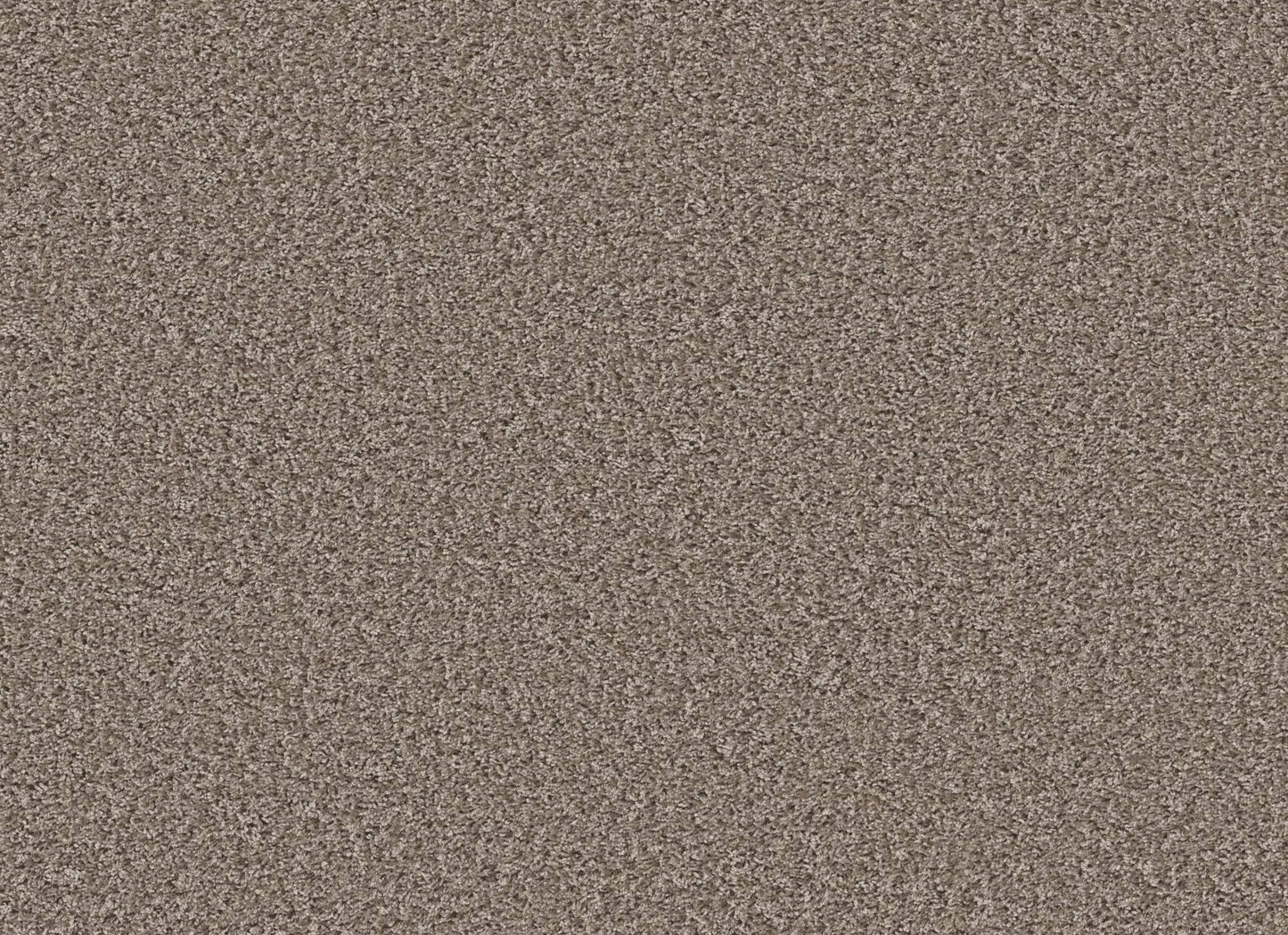 XV994