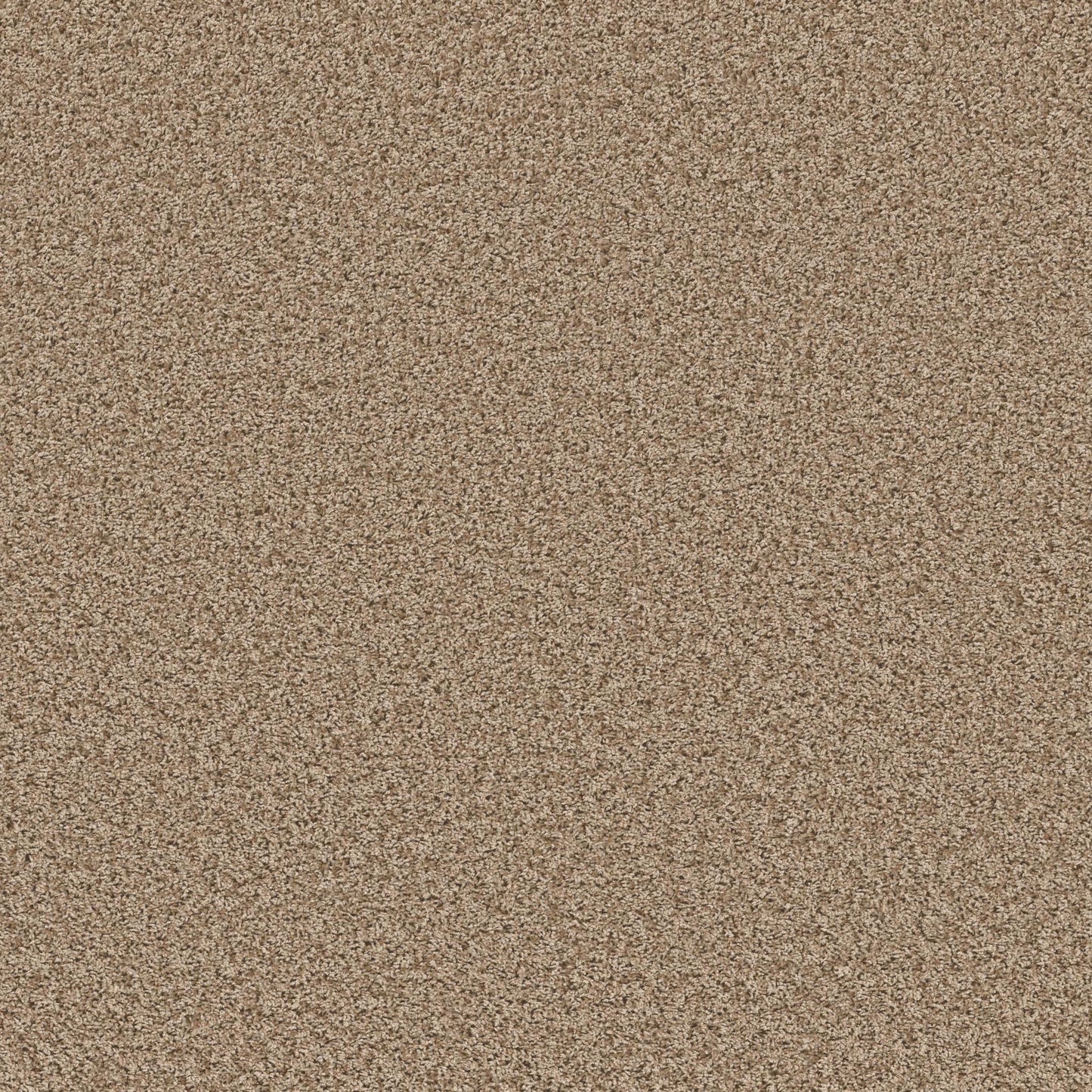 XV994