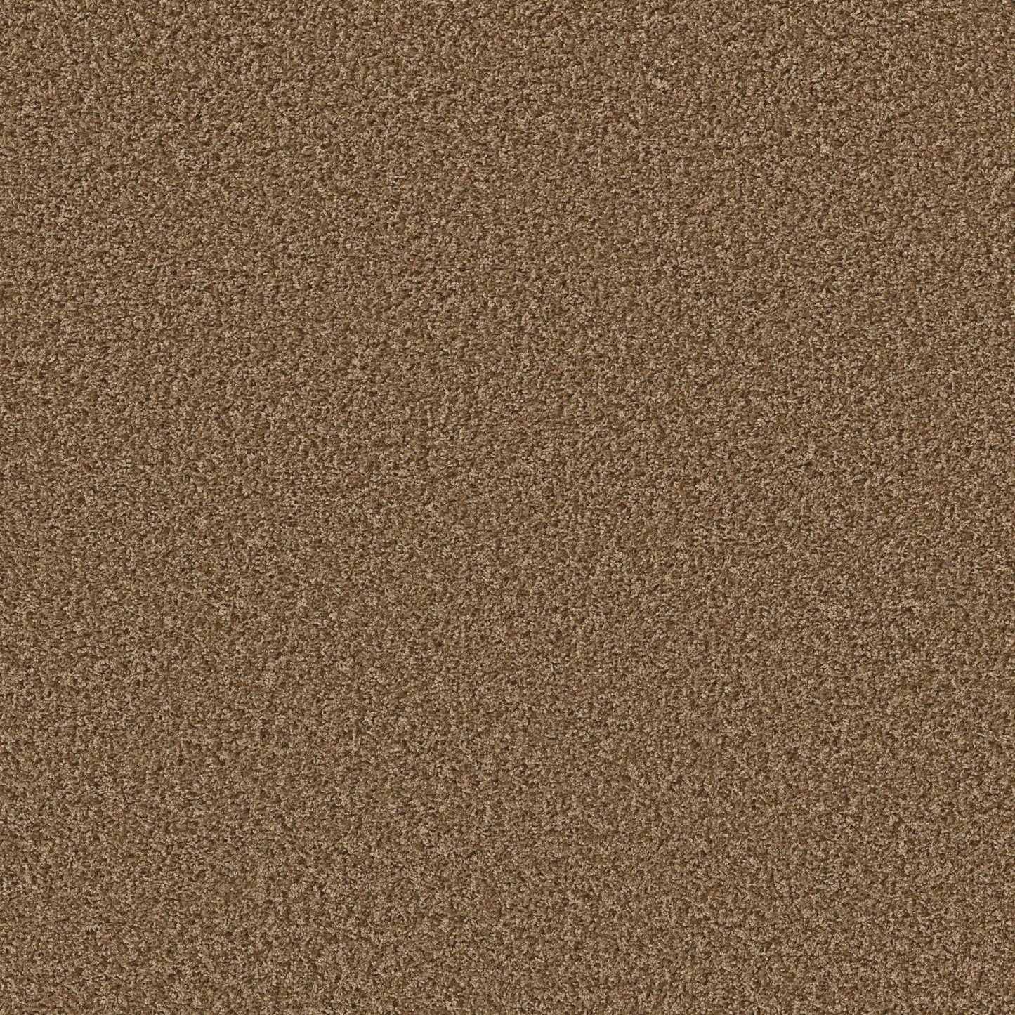 XV994