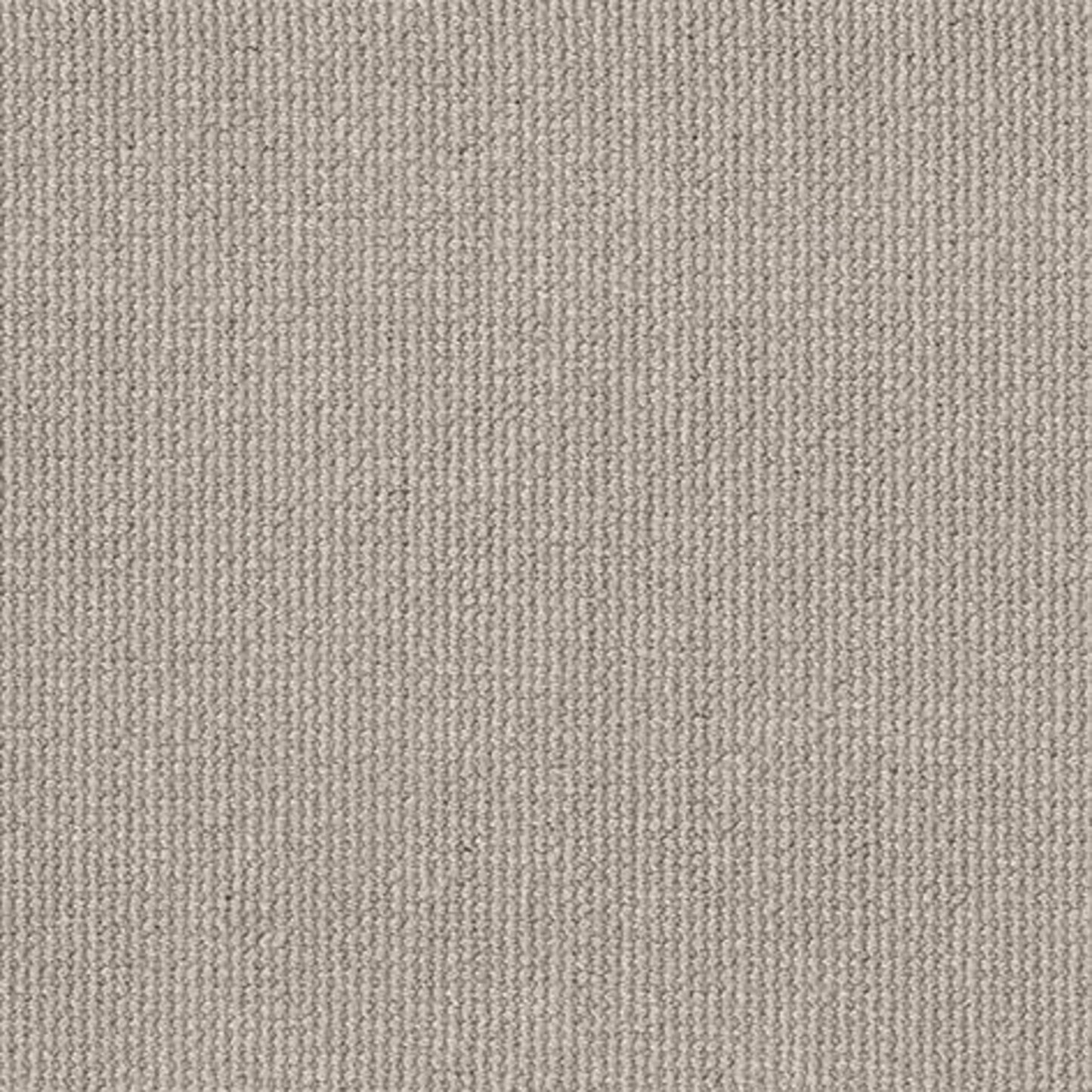 PURRFECTION in Silver Birch Carpet