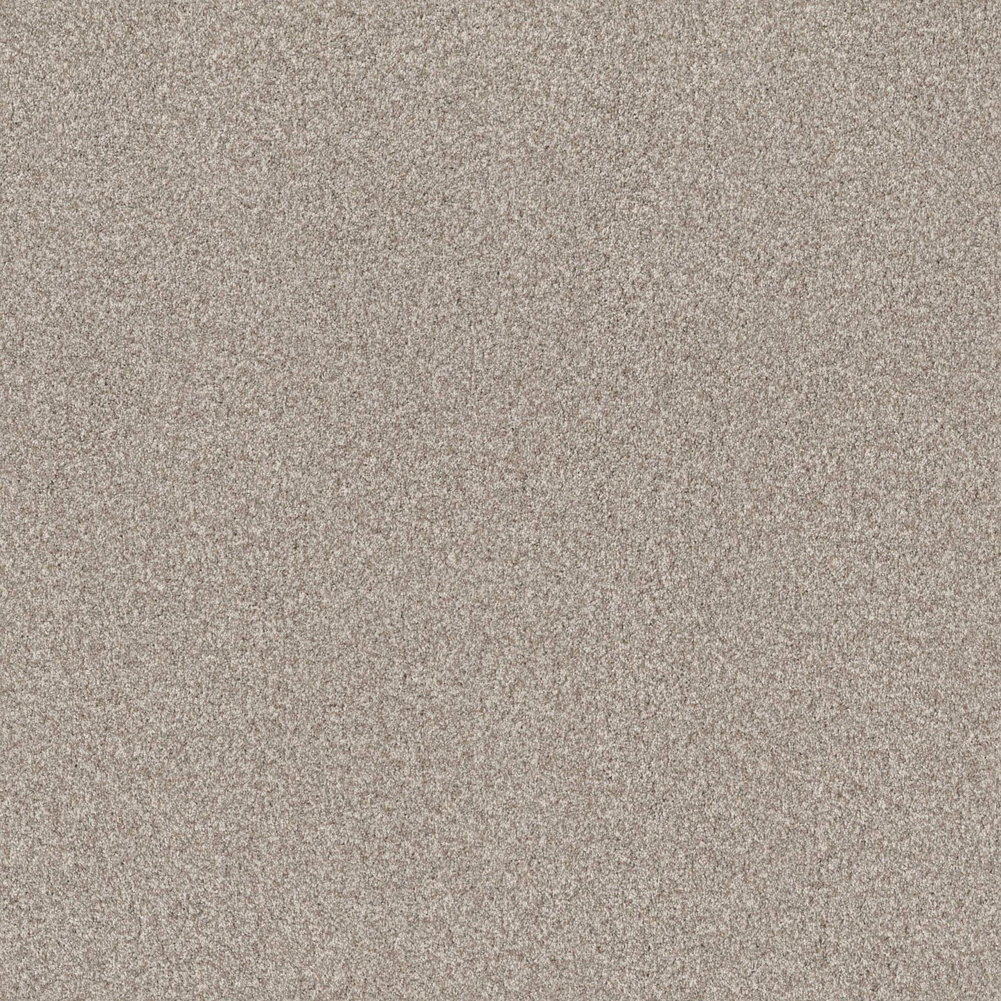 TERRA NOVA in Misty Dawn Carpet