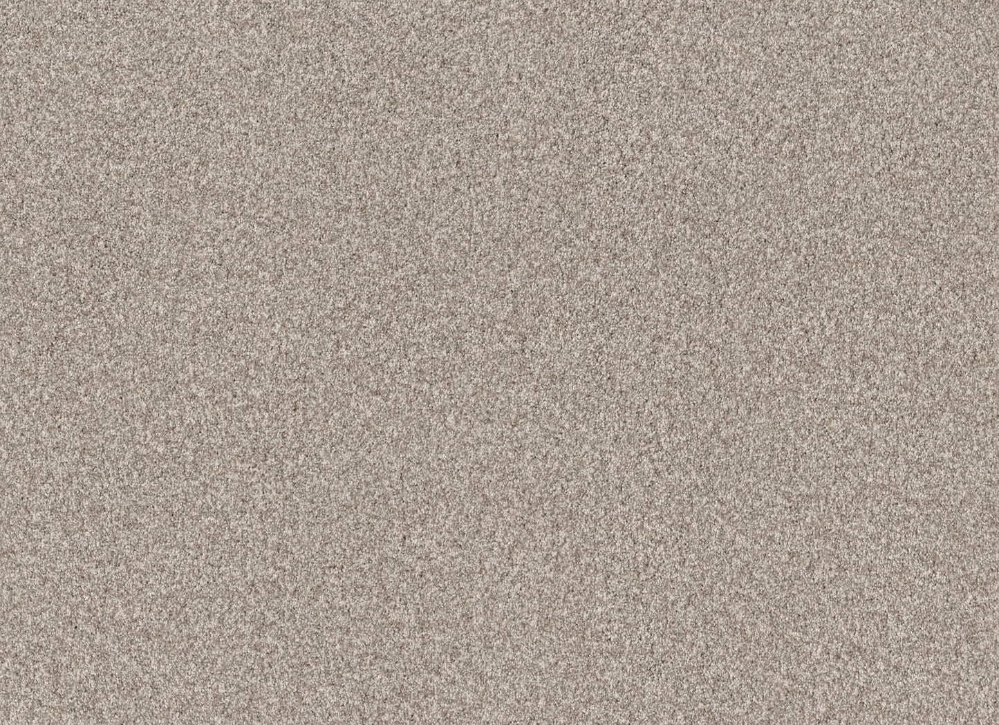 TERRA NOVA
