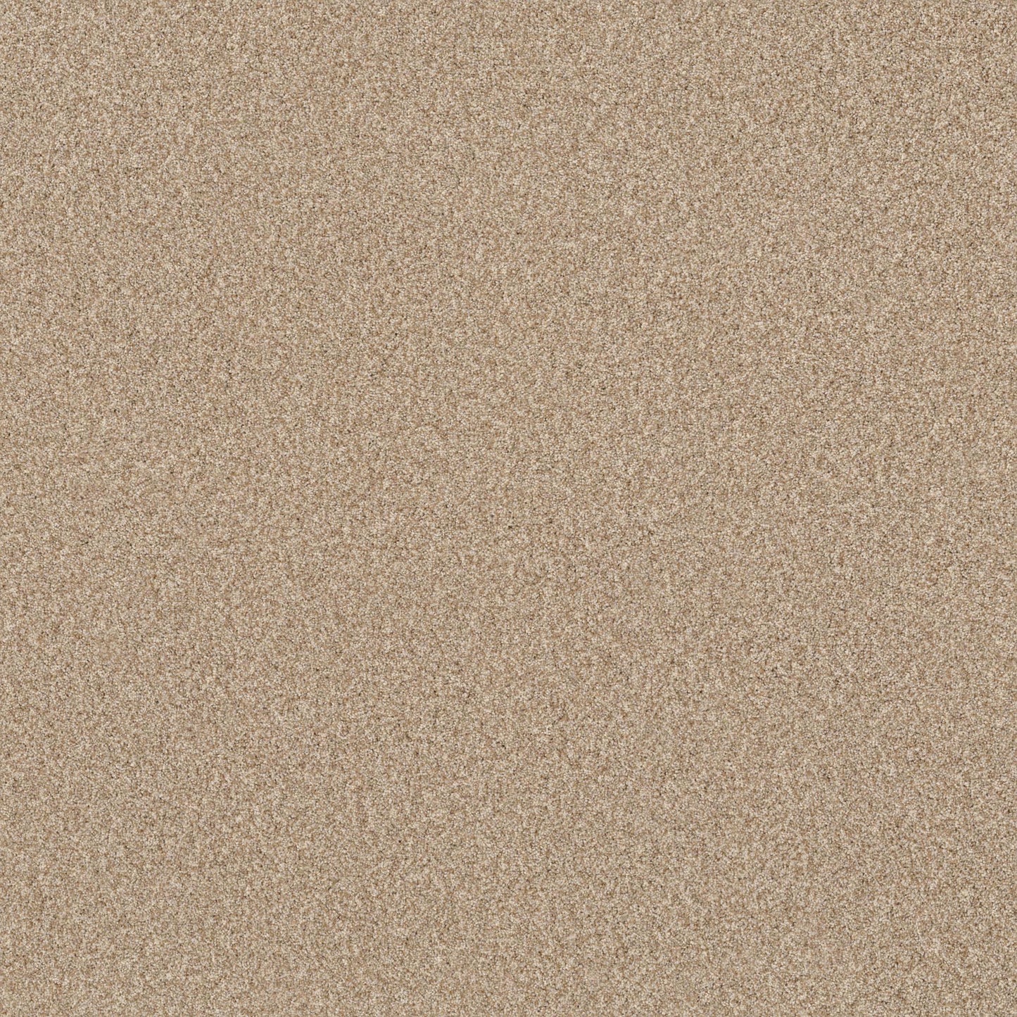 TERRA NOVA