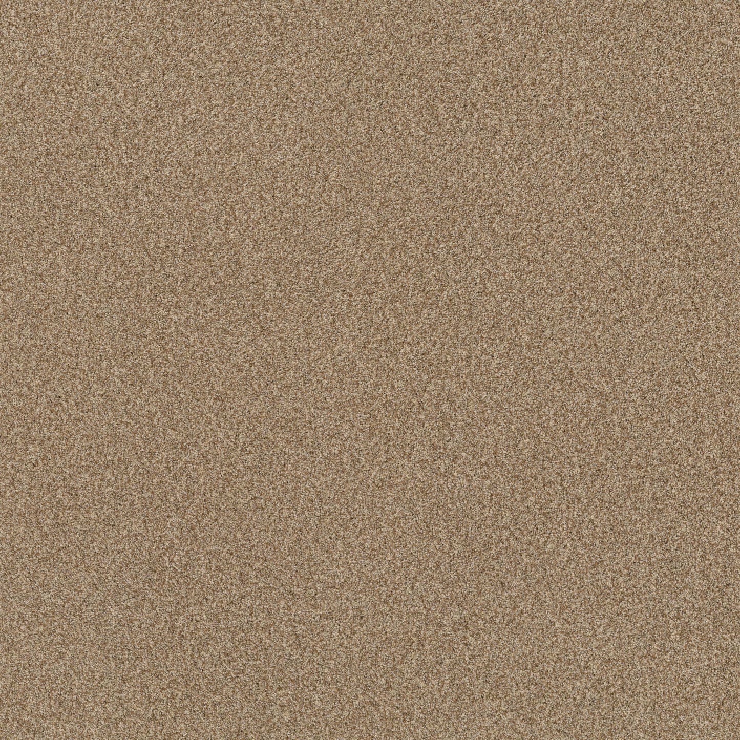 TERRA NOVA