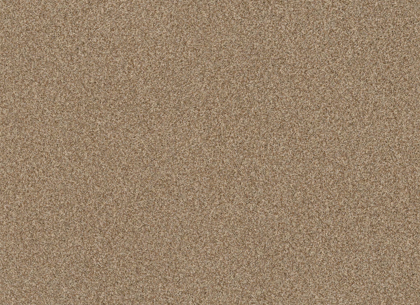 TERRA NOVA