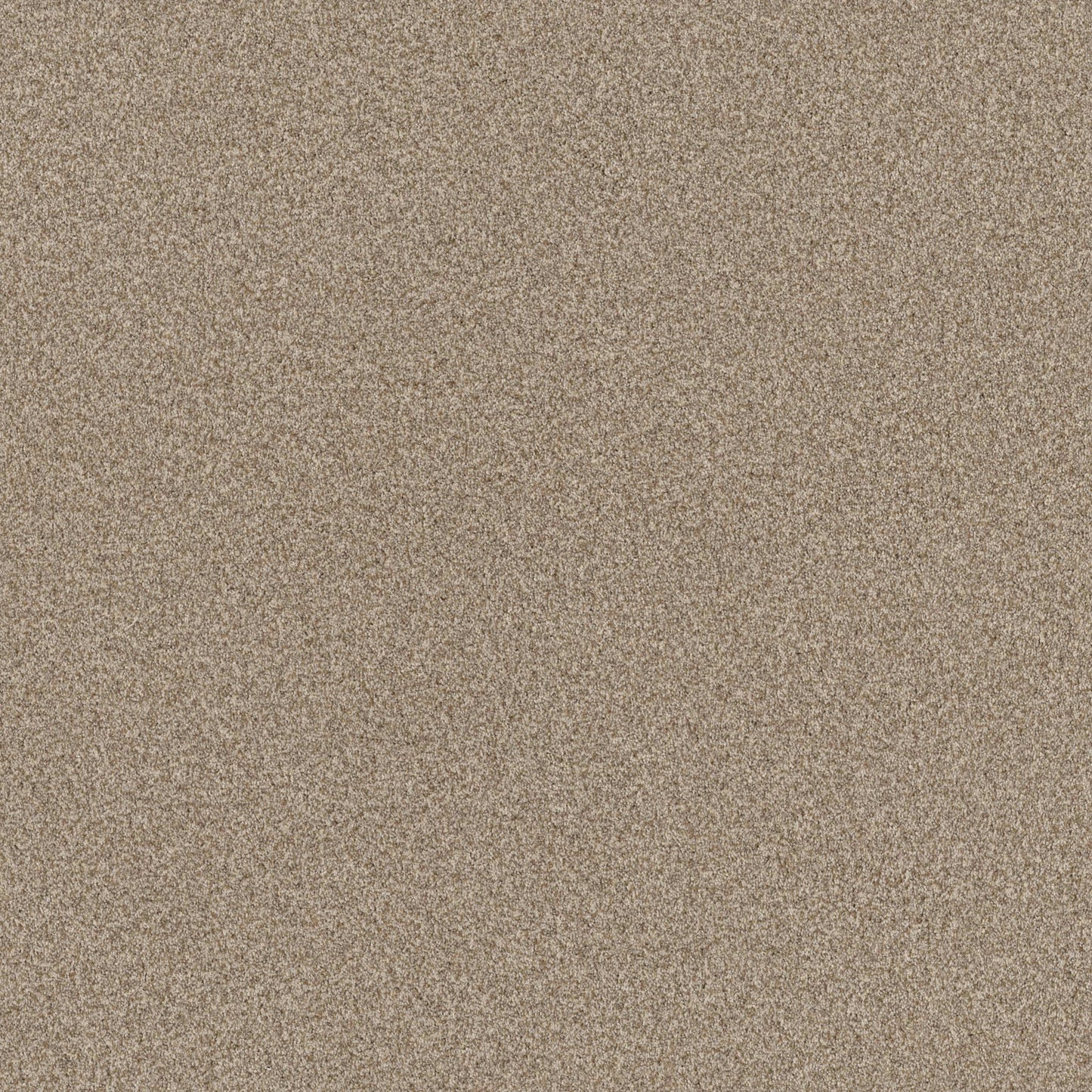 TERRA NOVA