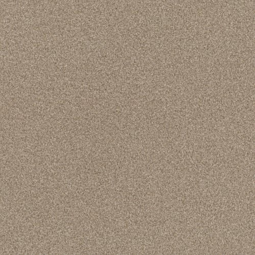 TERRA NOVA in Canvas