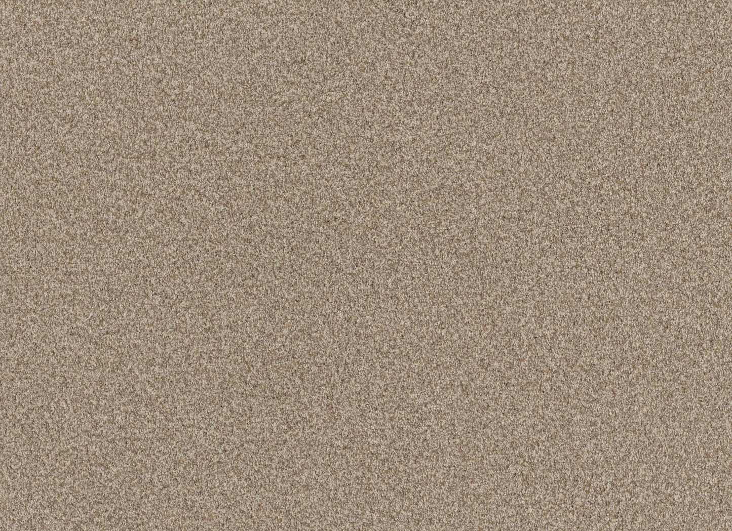 TERRA NOVA