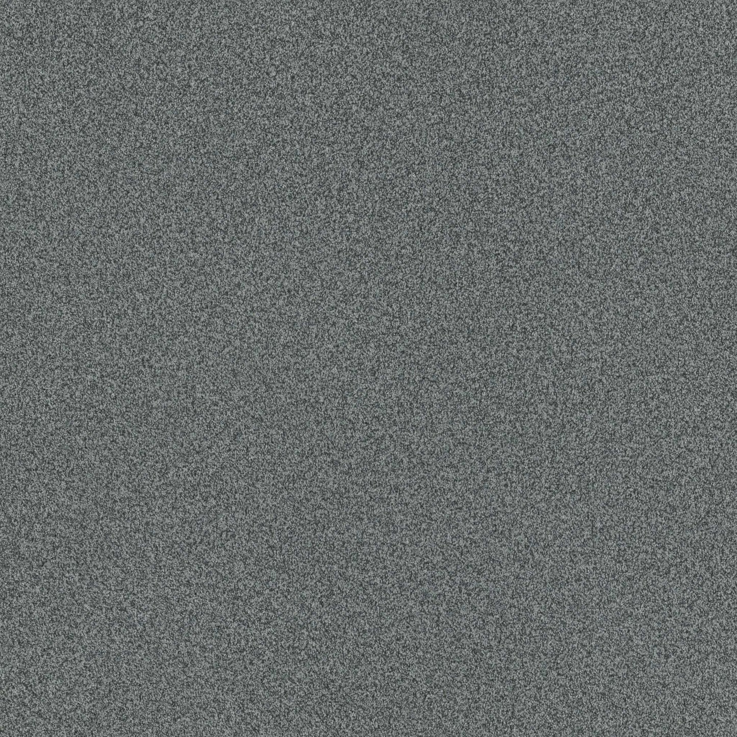 TERRA NOVA