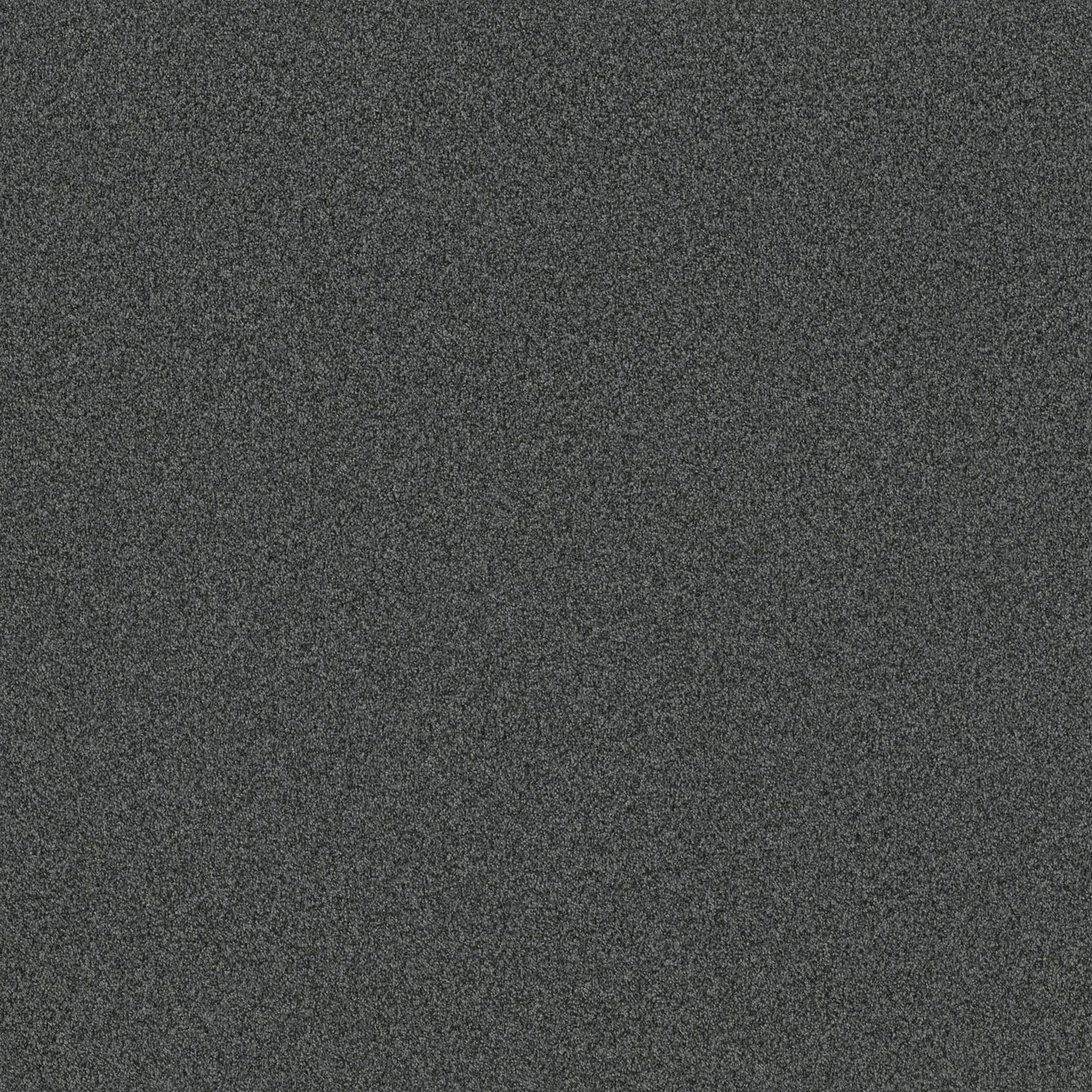 TERRA NOVA