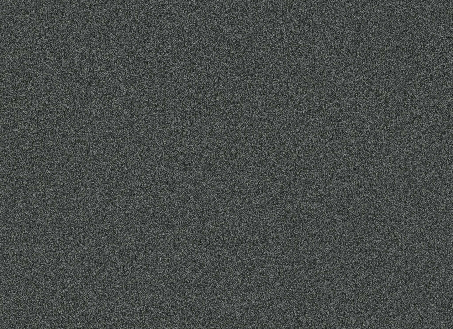TERRA NOVA