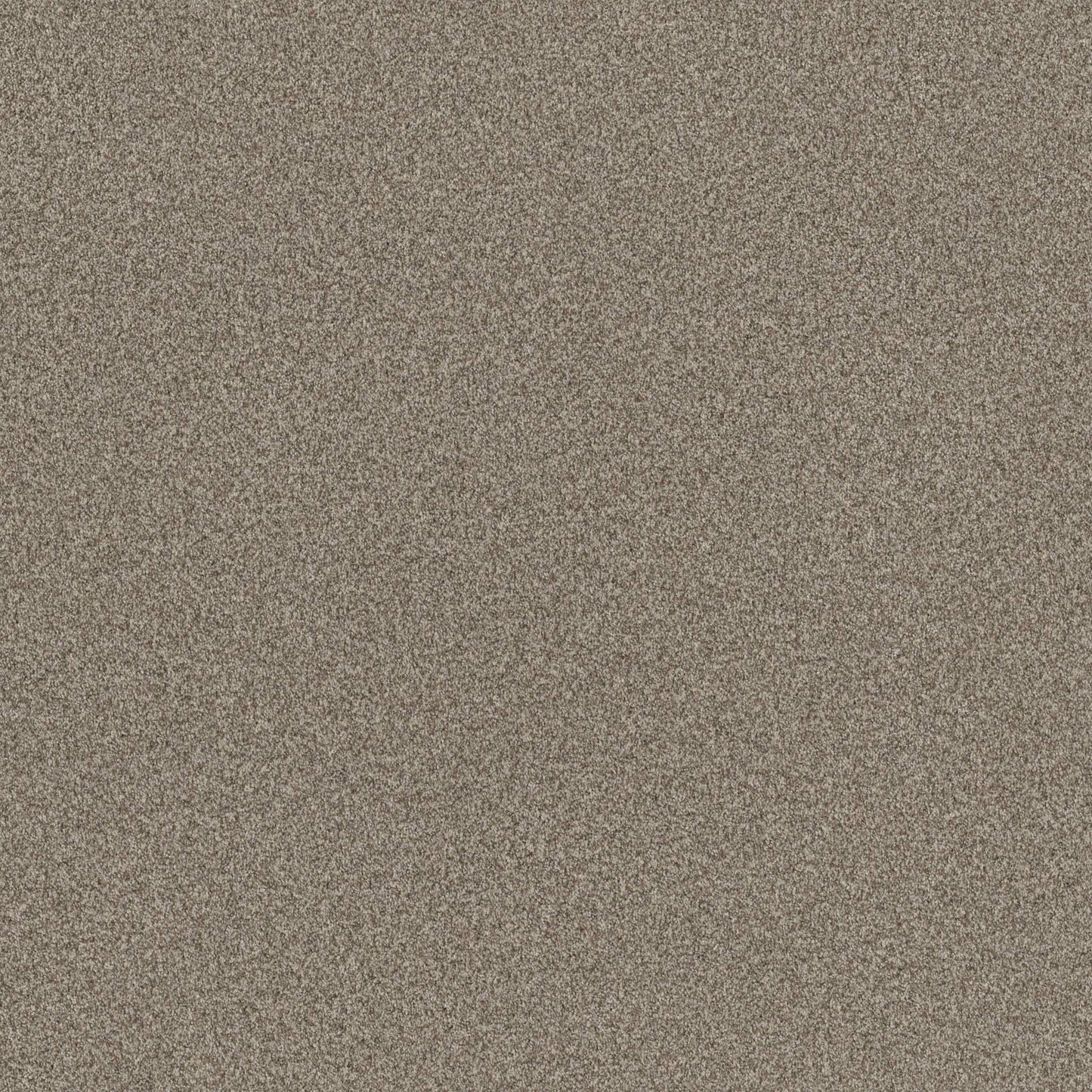 TERRA NOVA