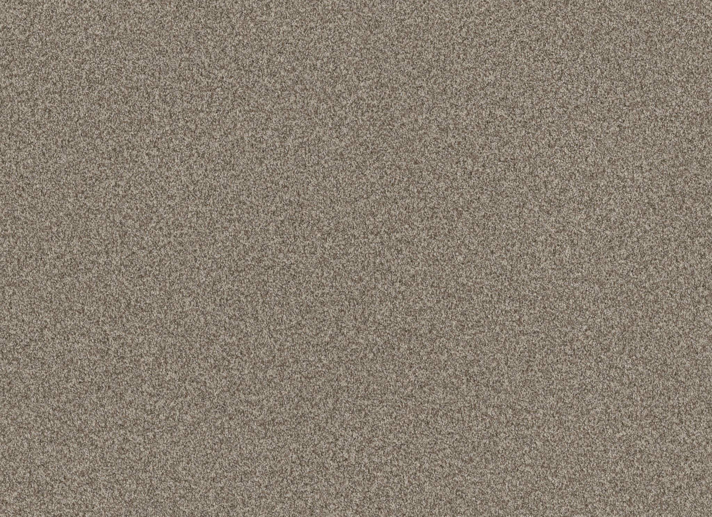 TERRA NOVA