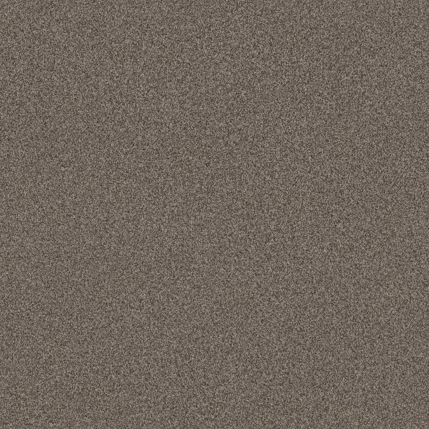 TERRA NOVA