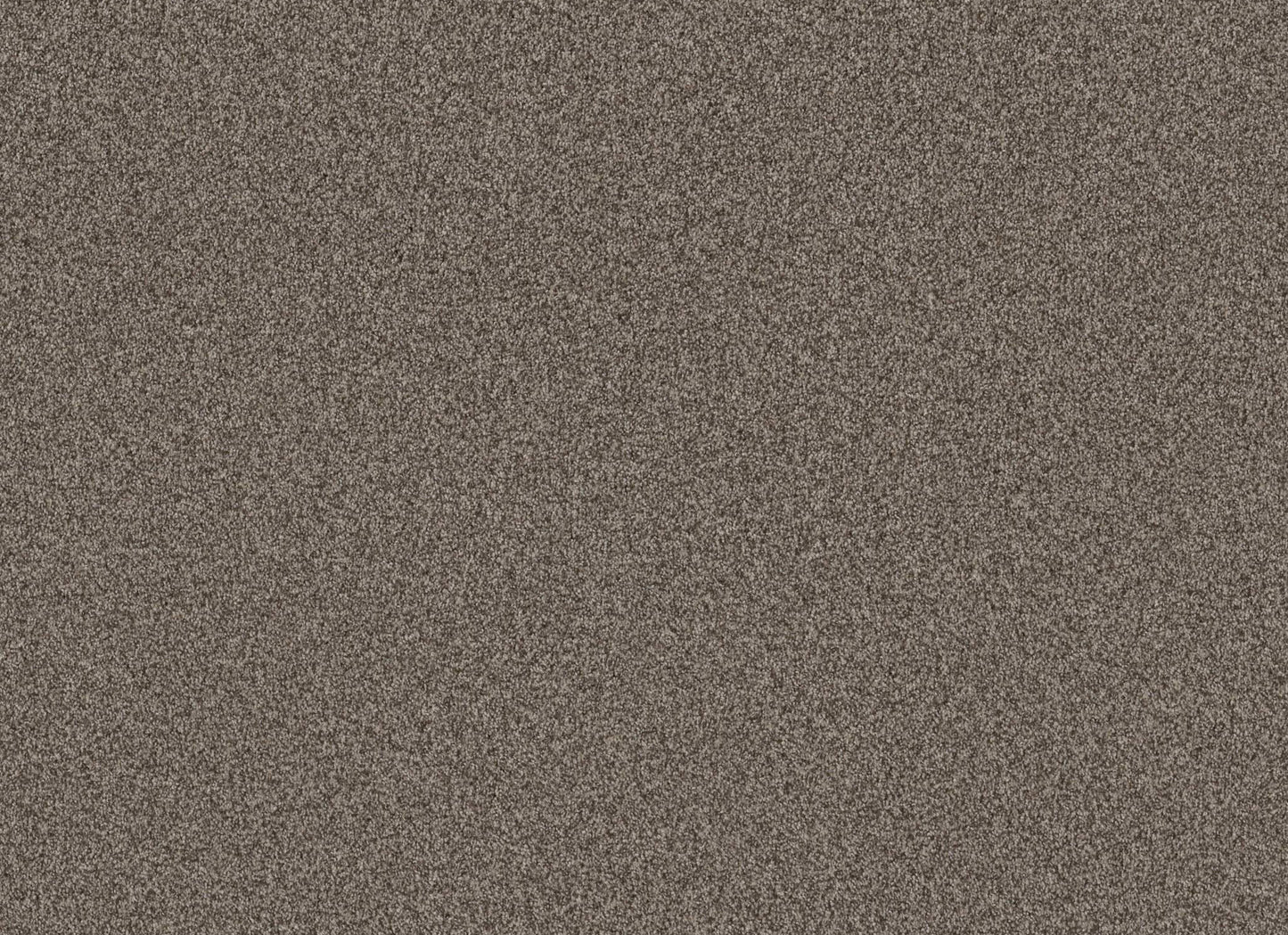 TERRA NOVA
