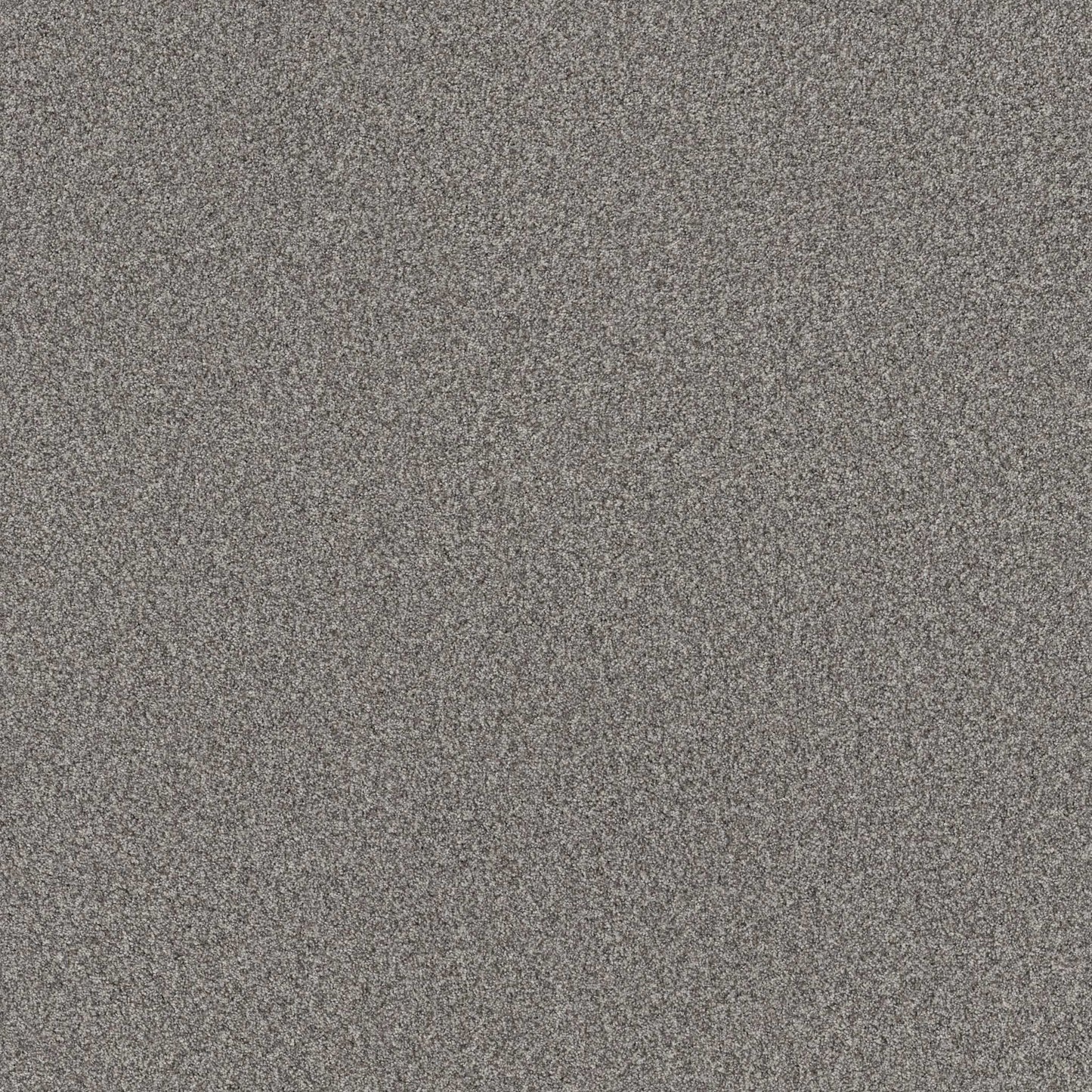 TERRA NOVA