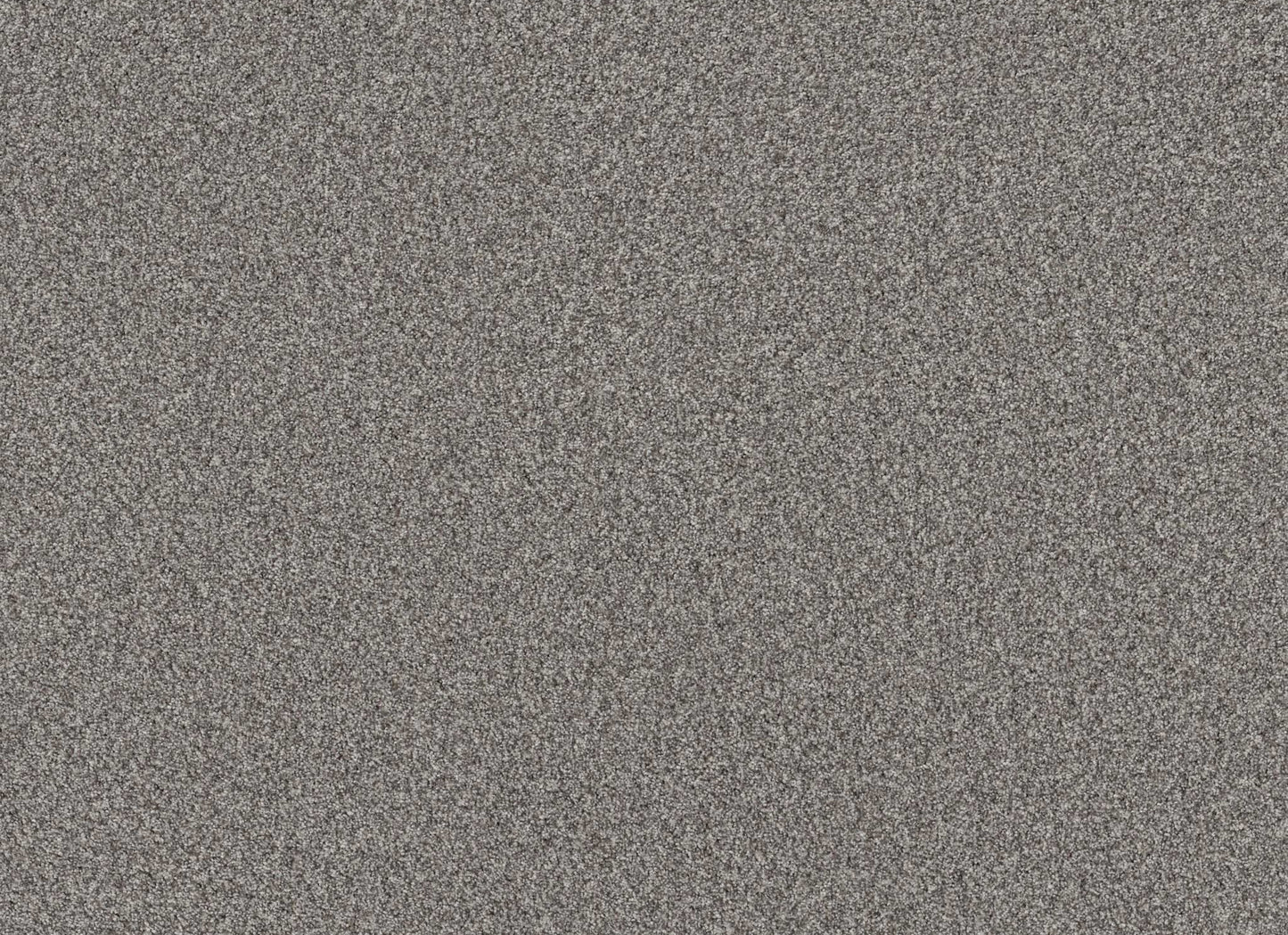 TERRA NOVA