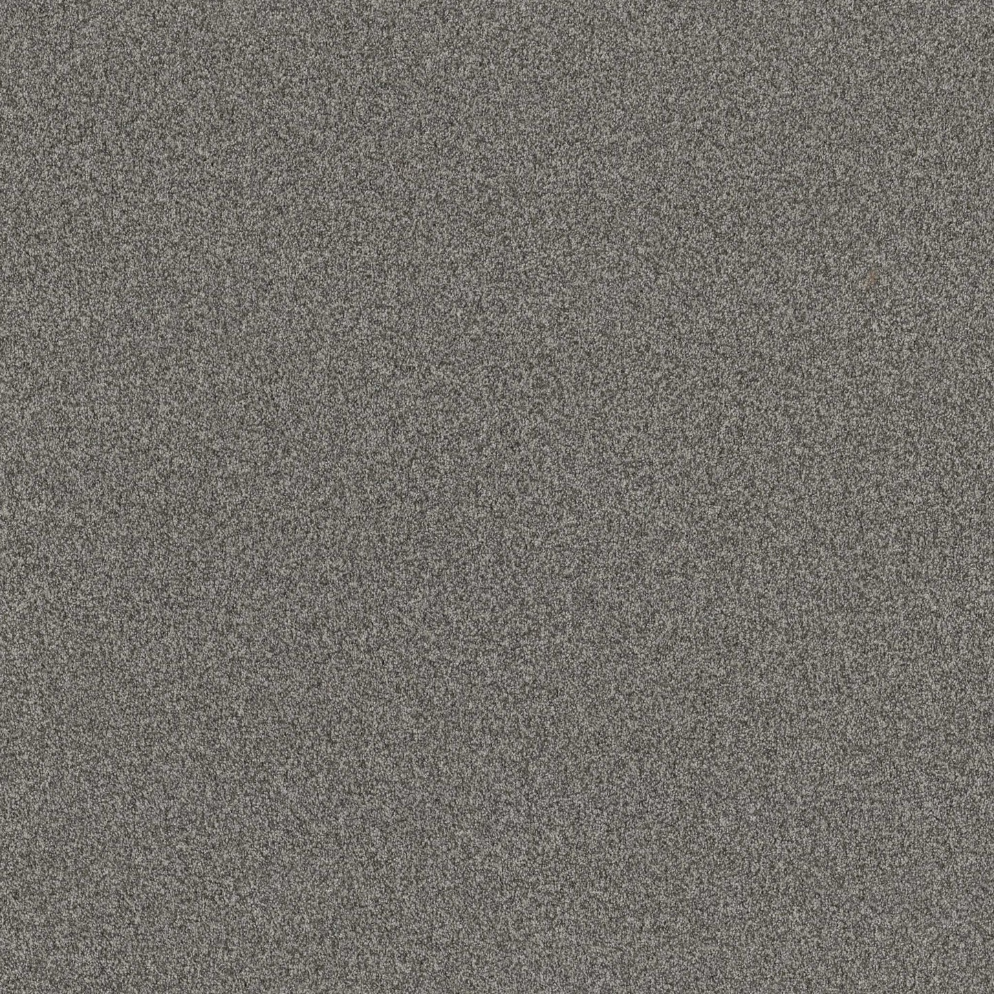 TERRA NOVA