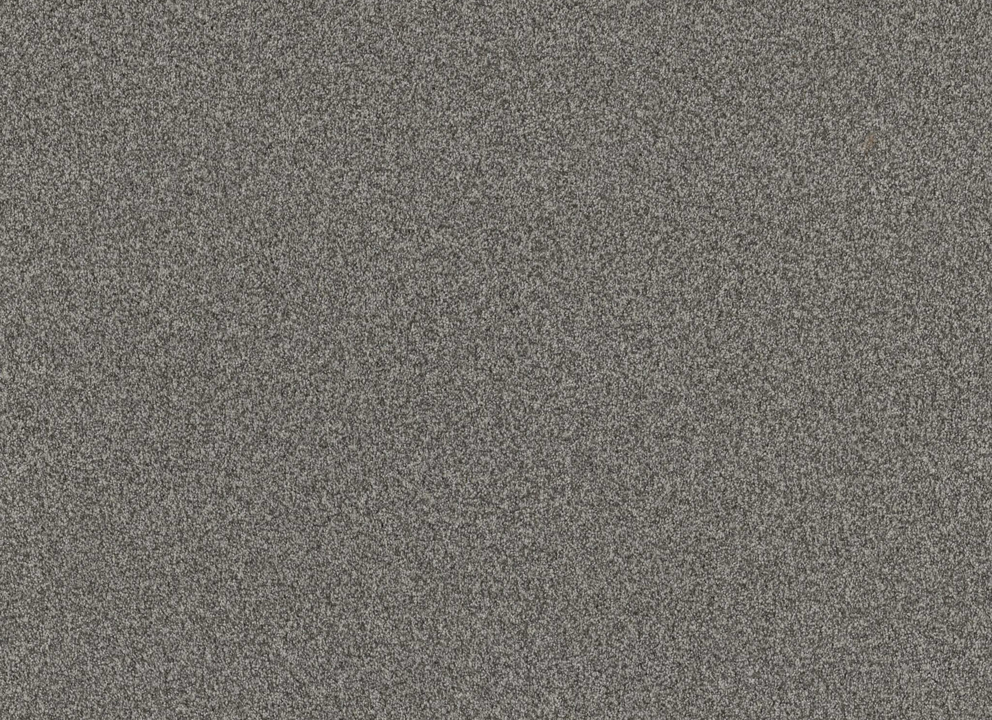 TERRA NOVA