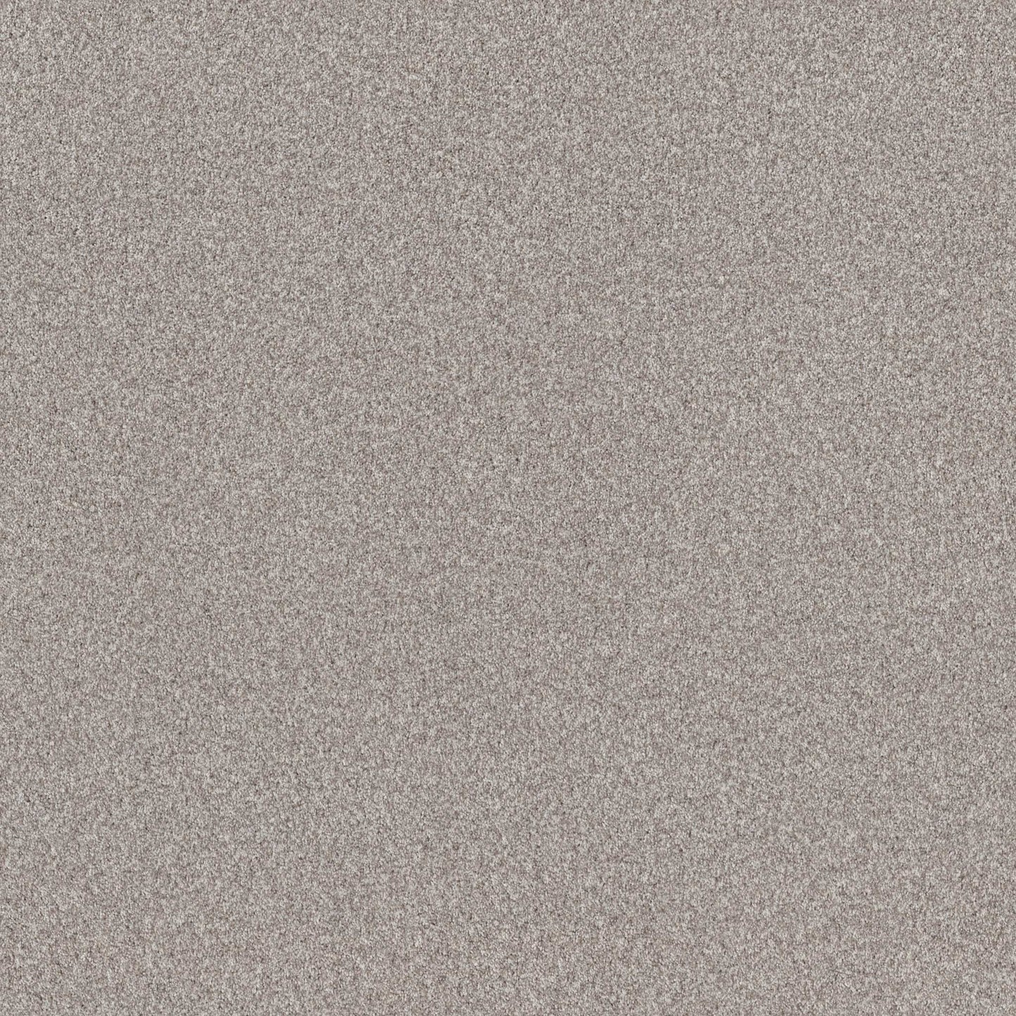TERRA NOVA