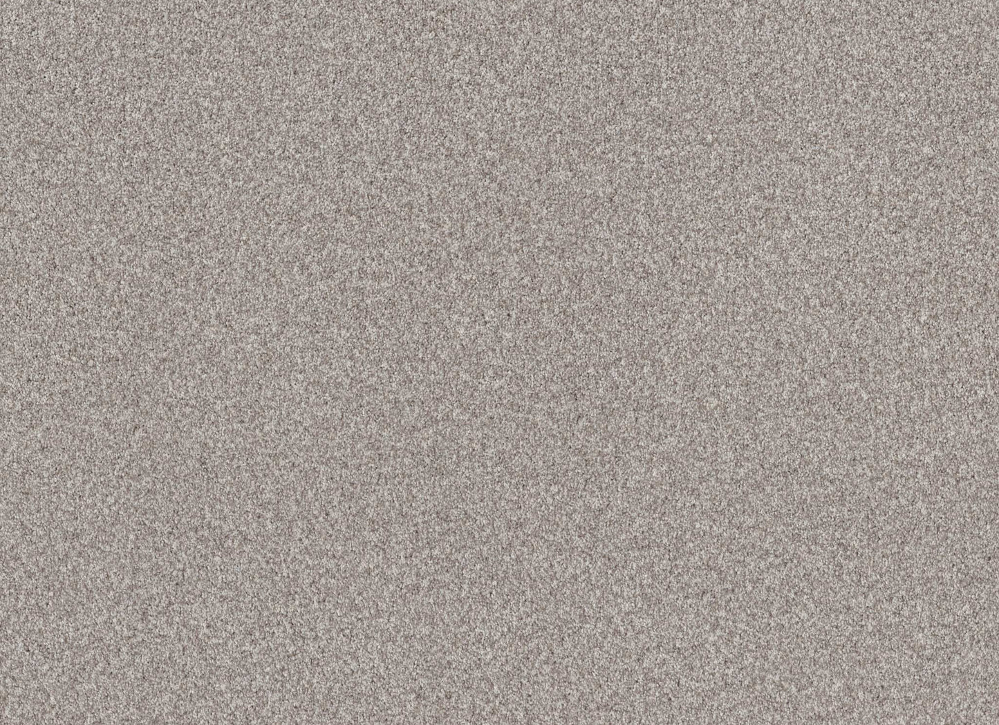 TERRA NOVA
