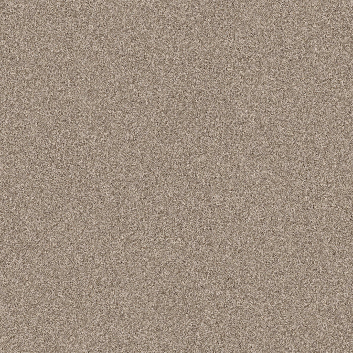 TERRA NOVA