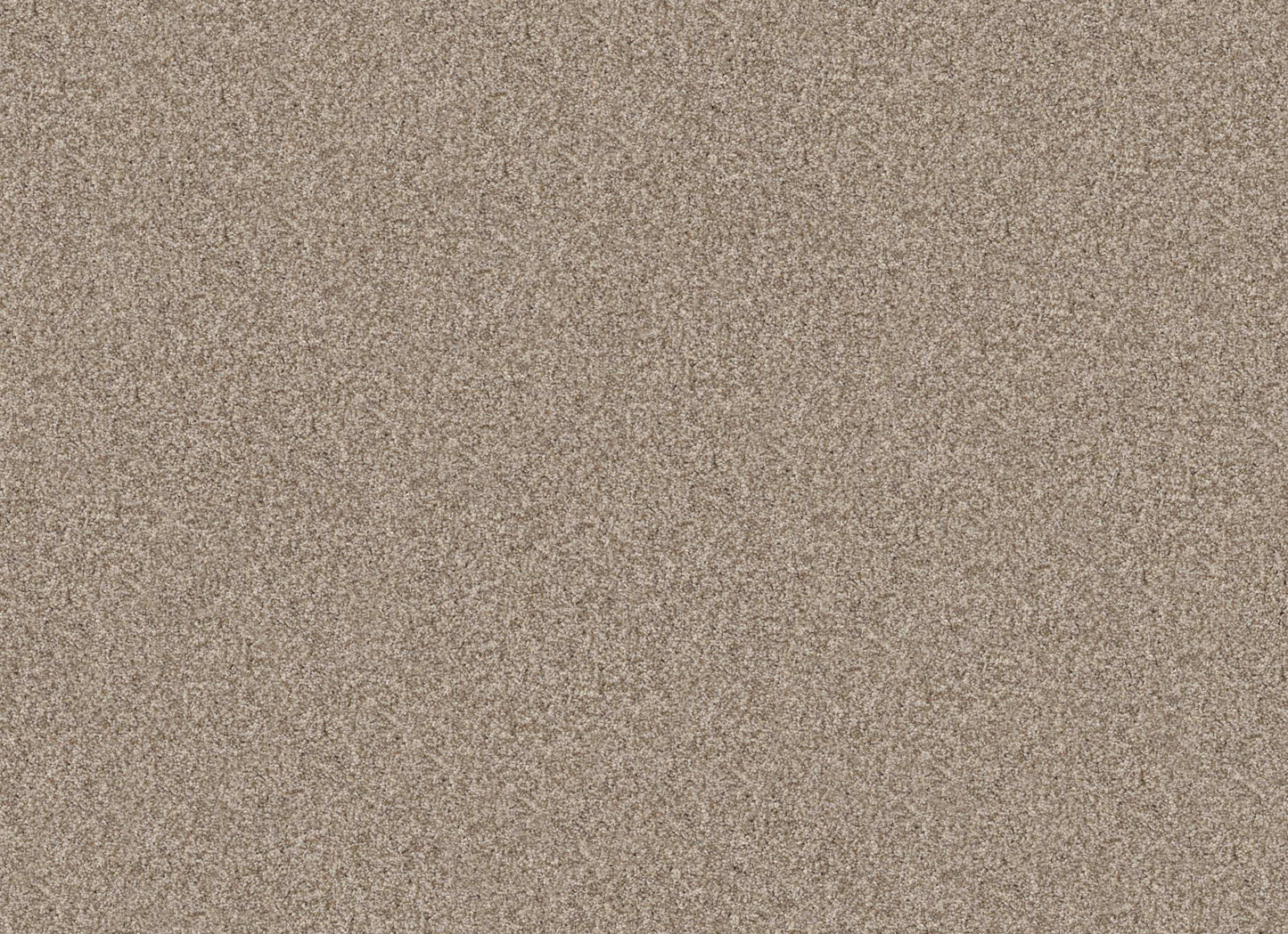TERRA NOVA