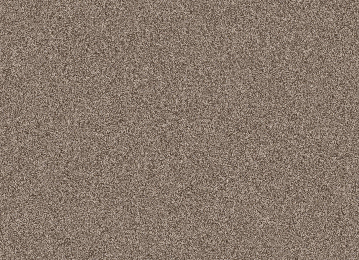TERRA NOVA