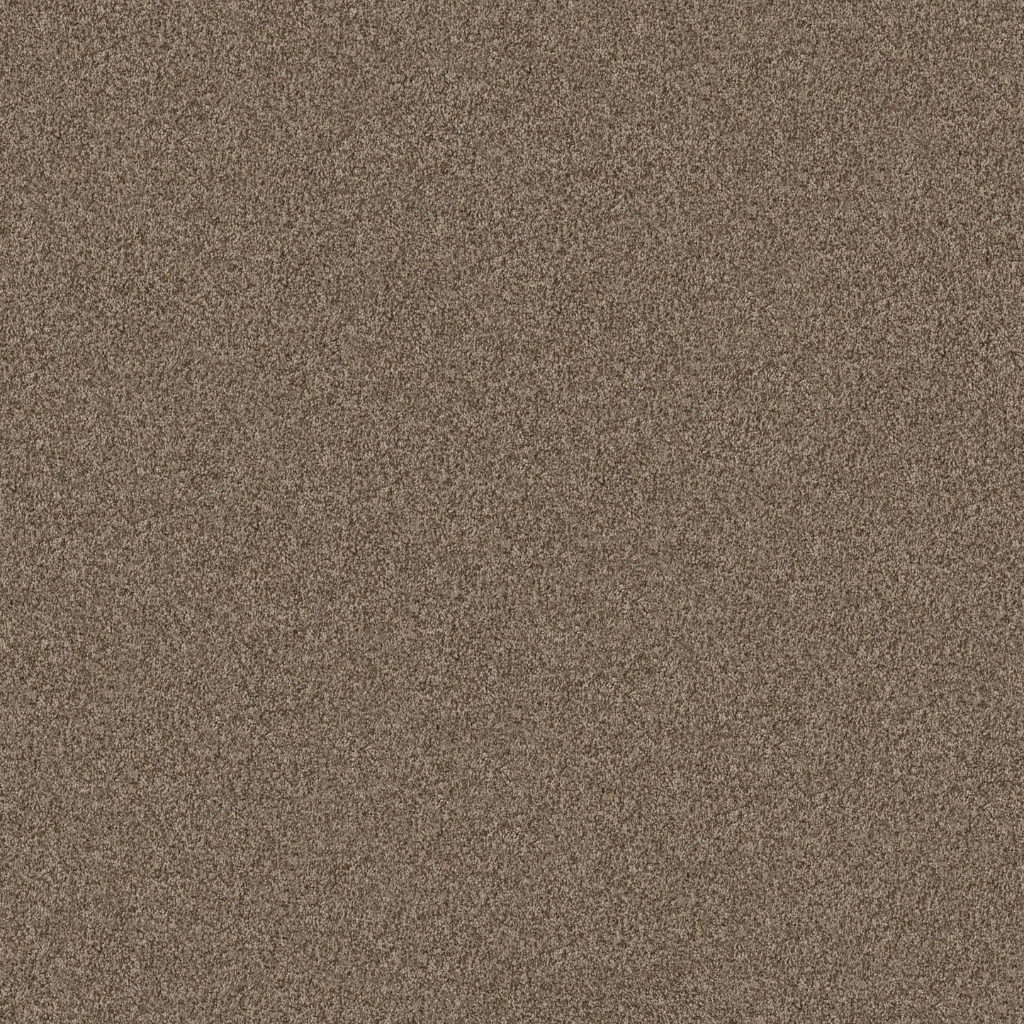 TERRA NOVA