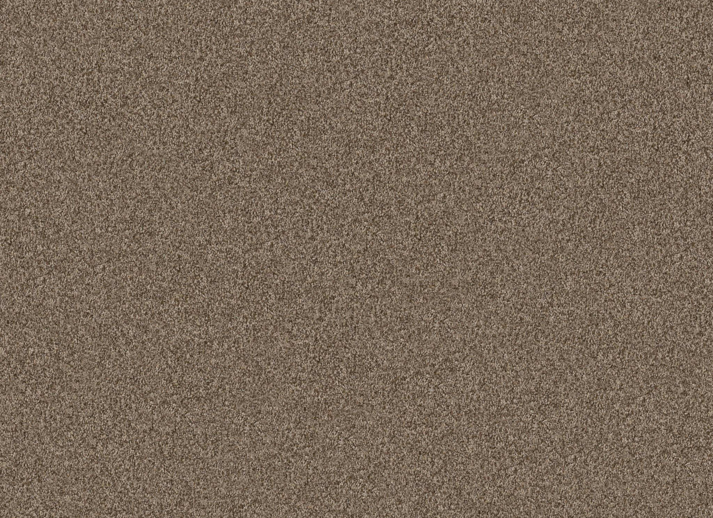 TERRA NOVA