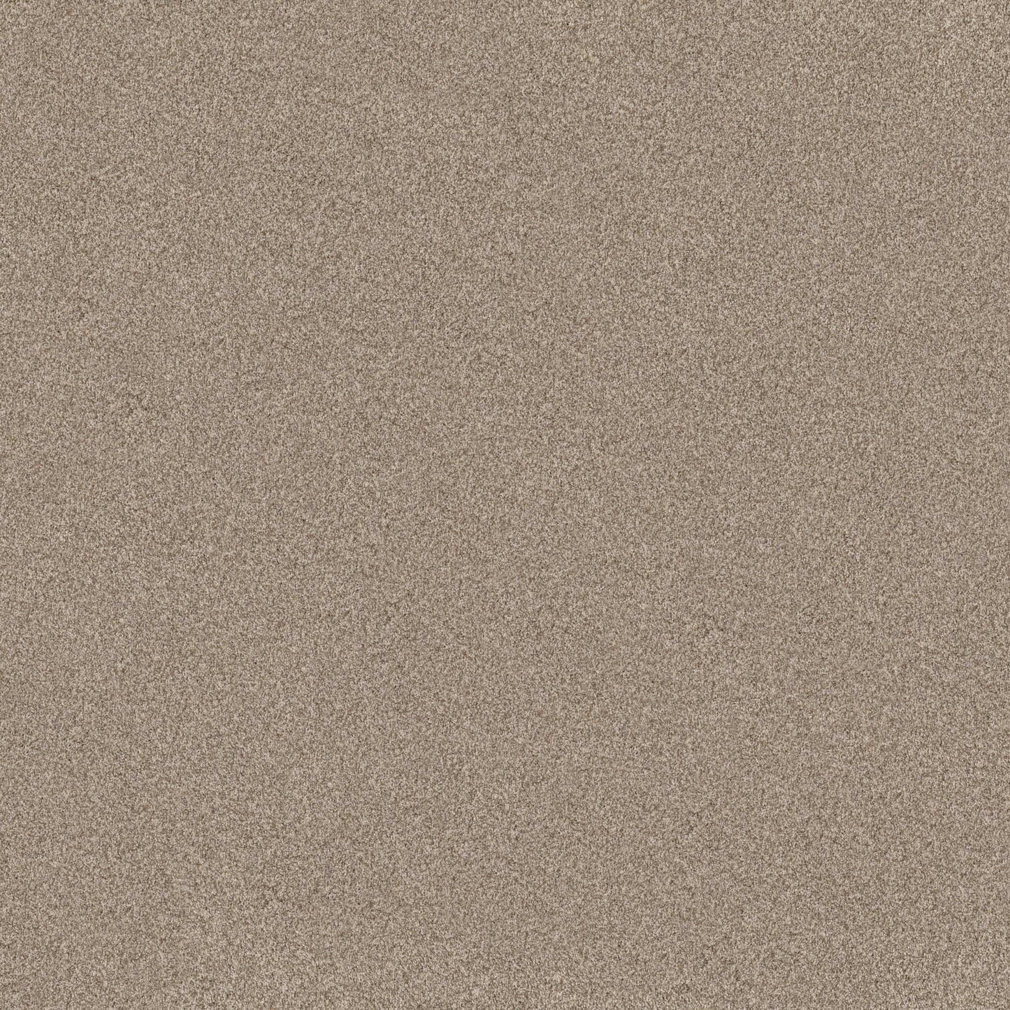 TERRA NOVA