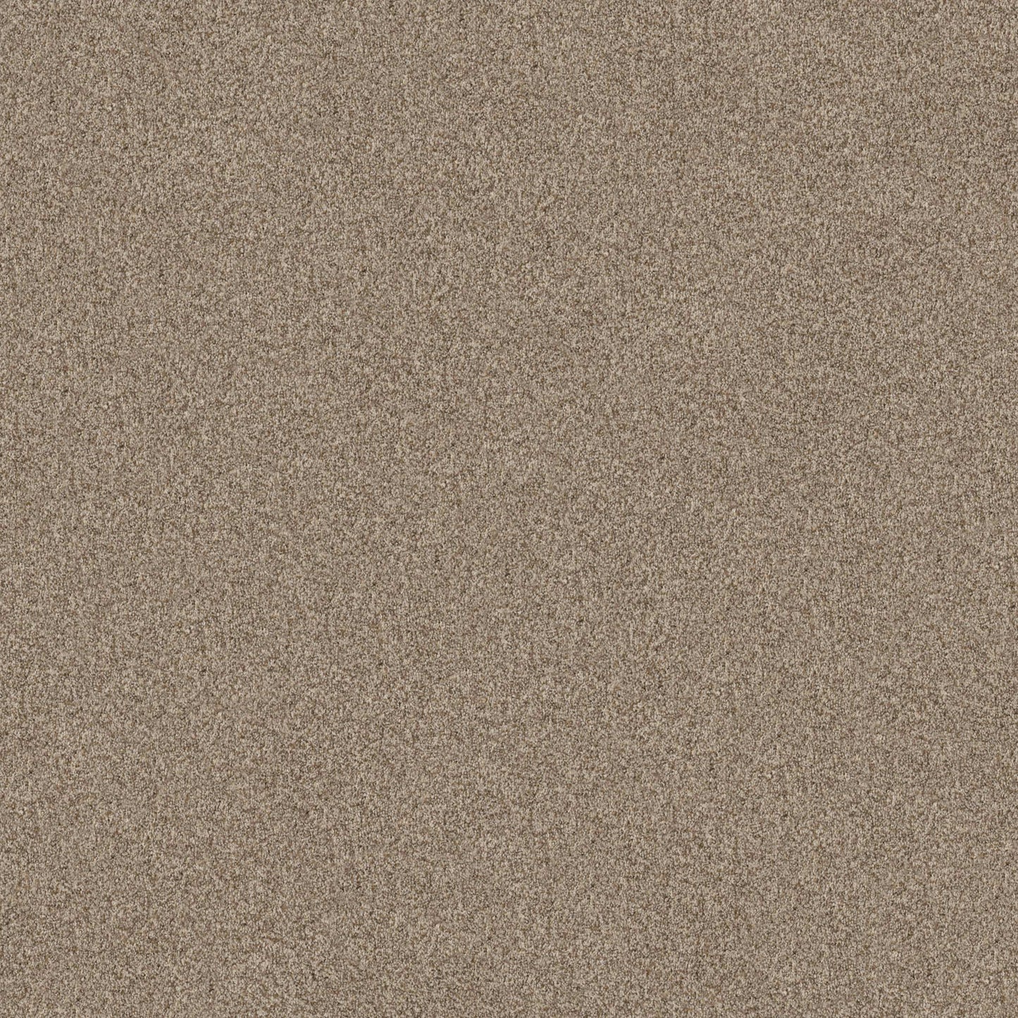 TERRA NOVA