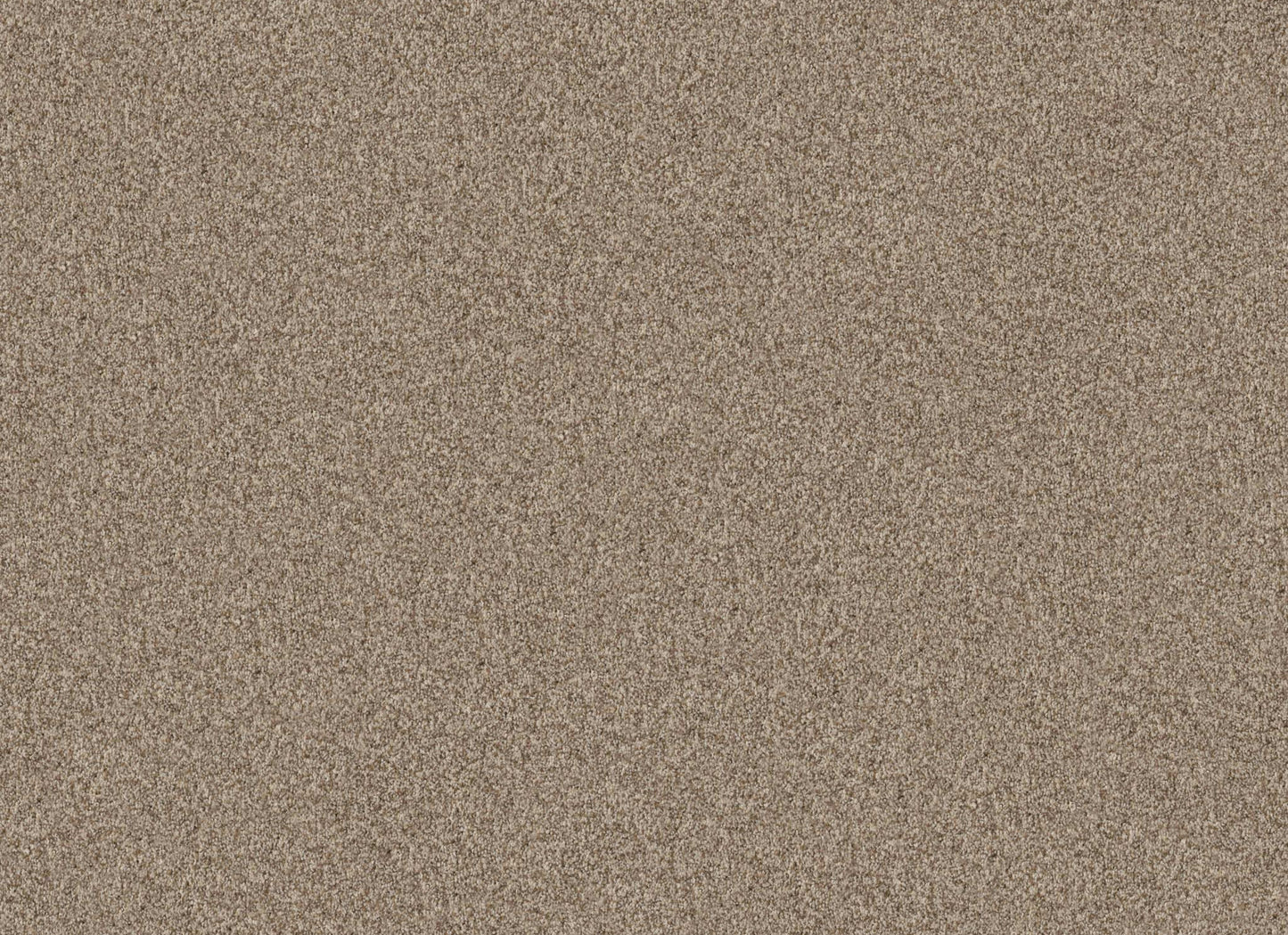 TERRA NOVA