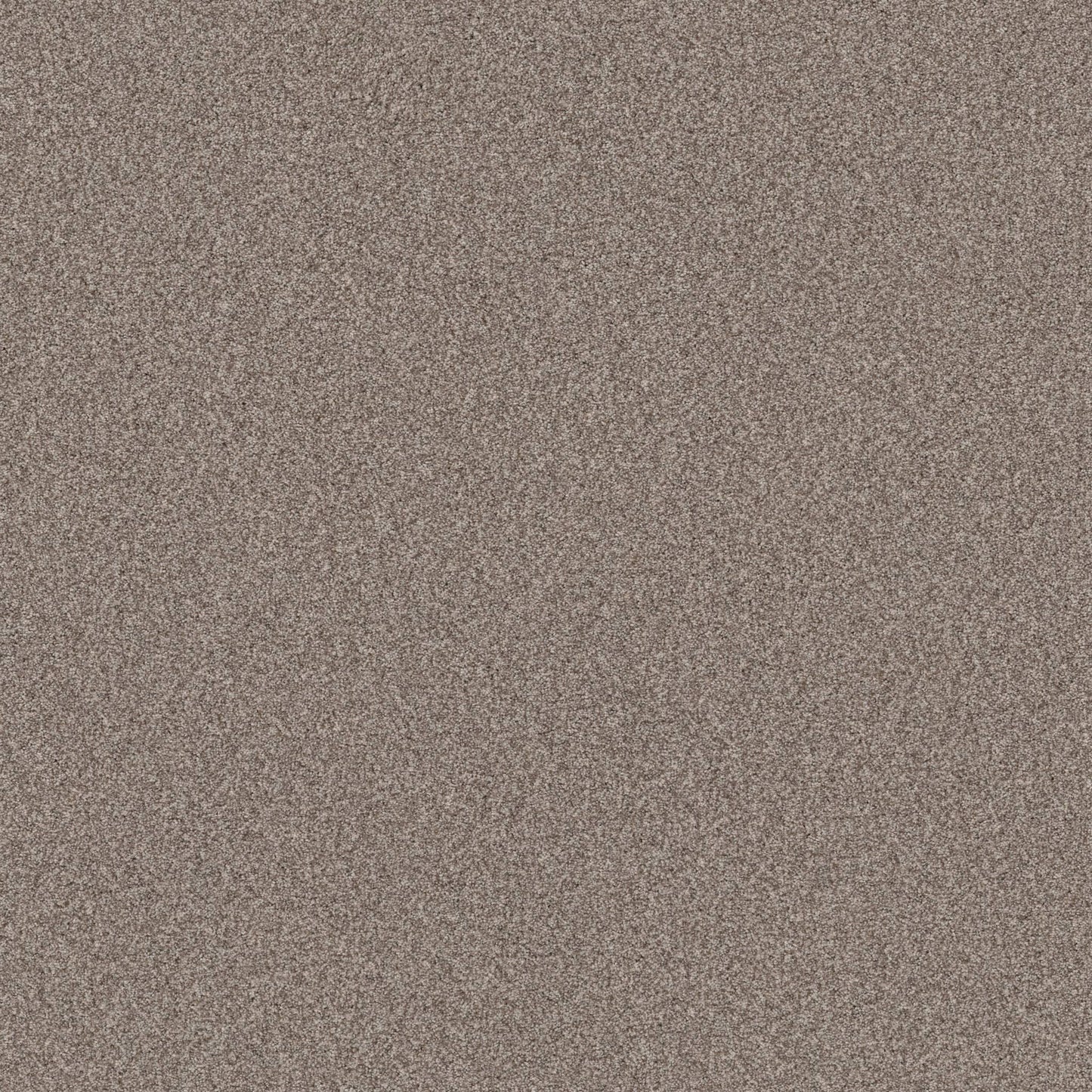 TERRA NOVA