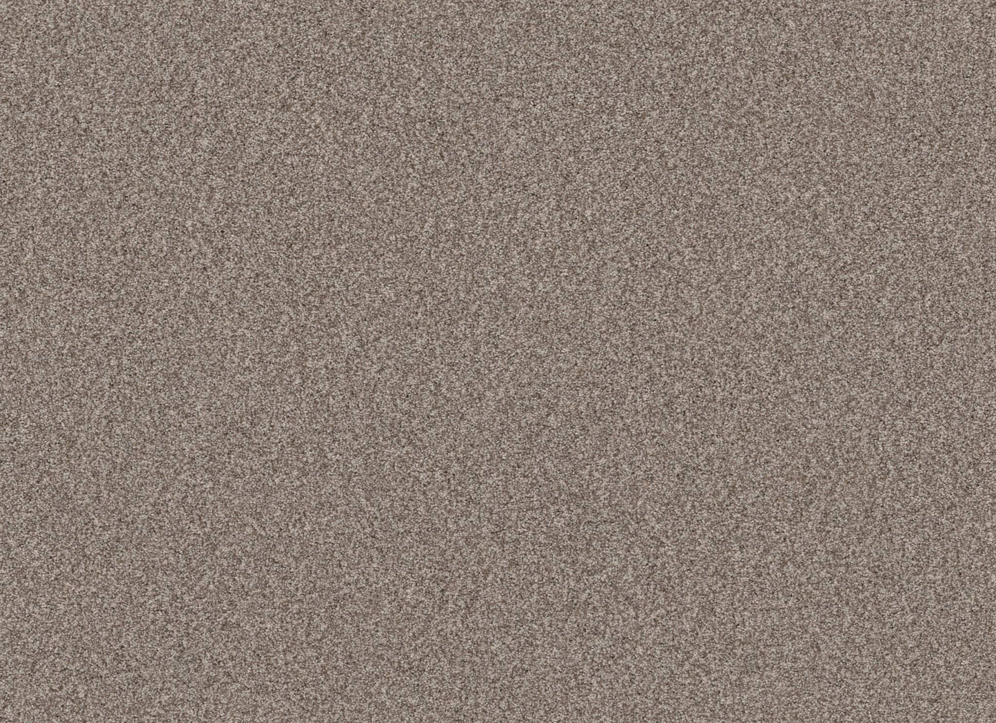 TERRA NOVA