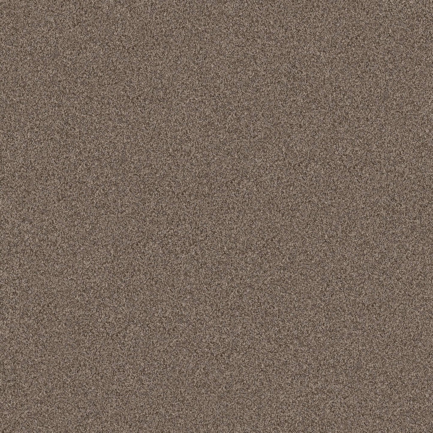 TERRA NOVA