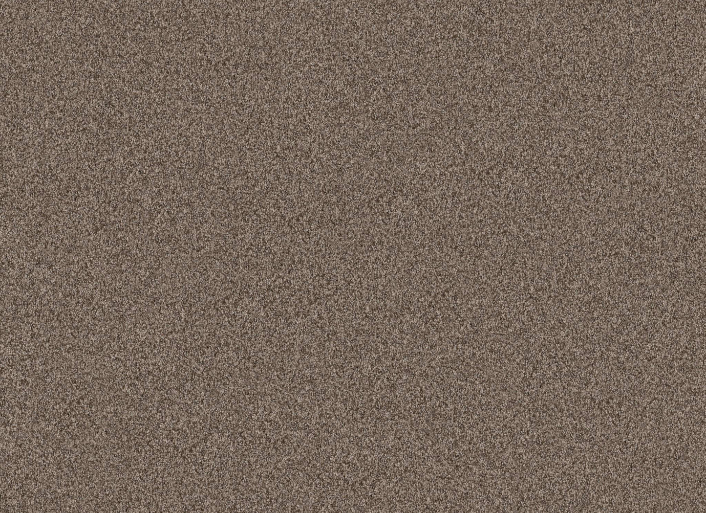 TERRA NOVA