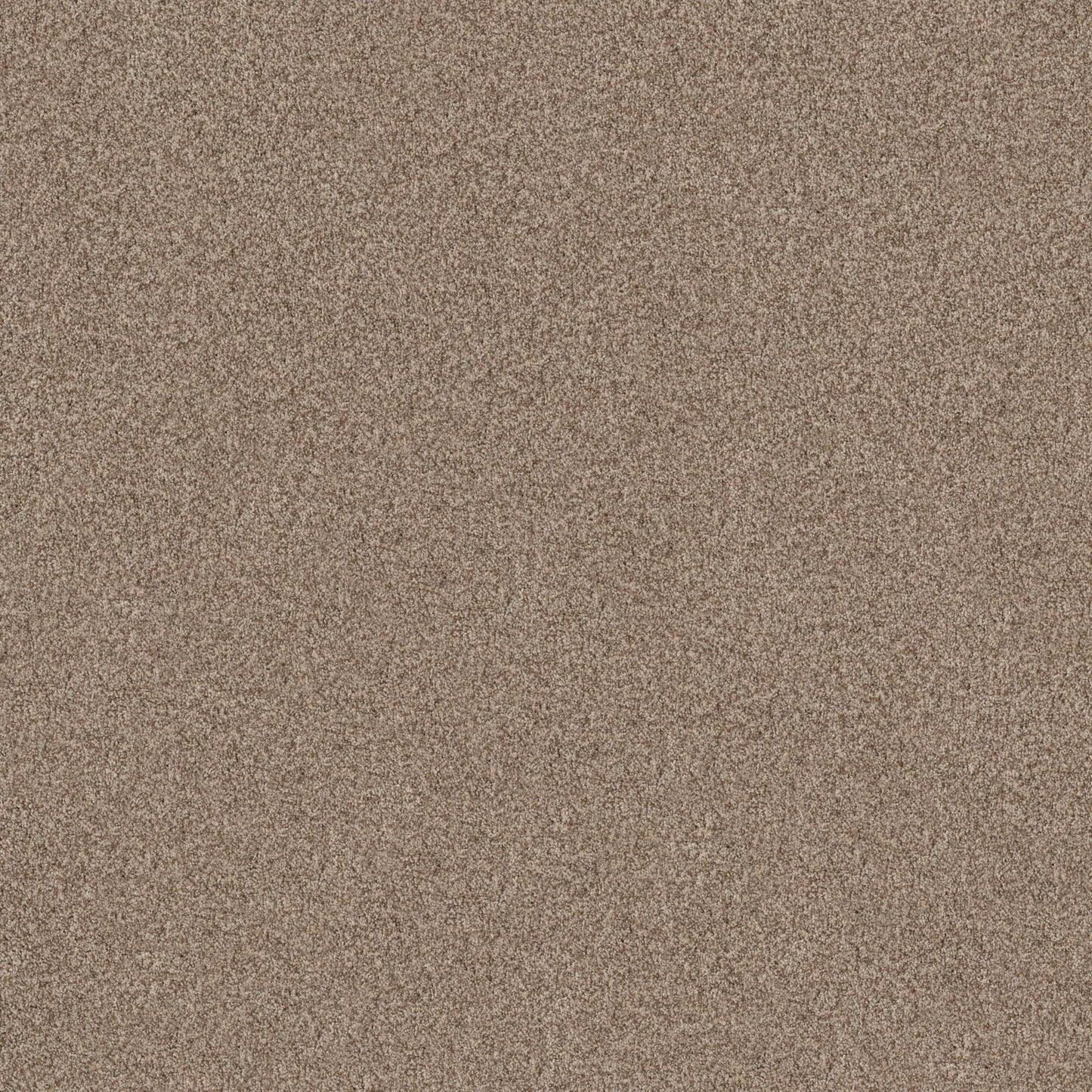 TERRA NOVA