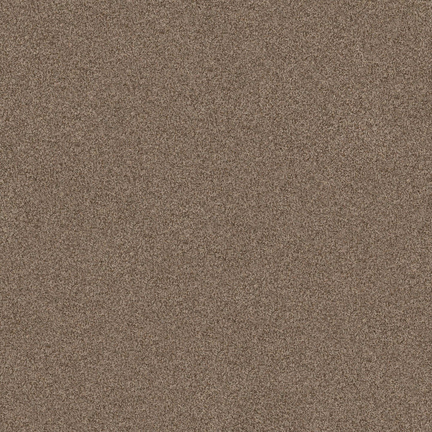 TERRA NOVA