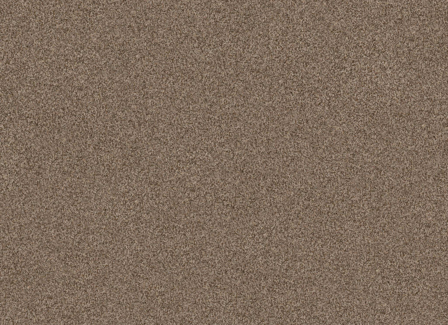 TERRA NOVA