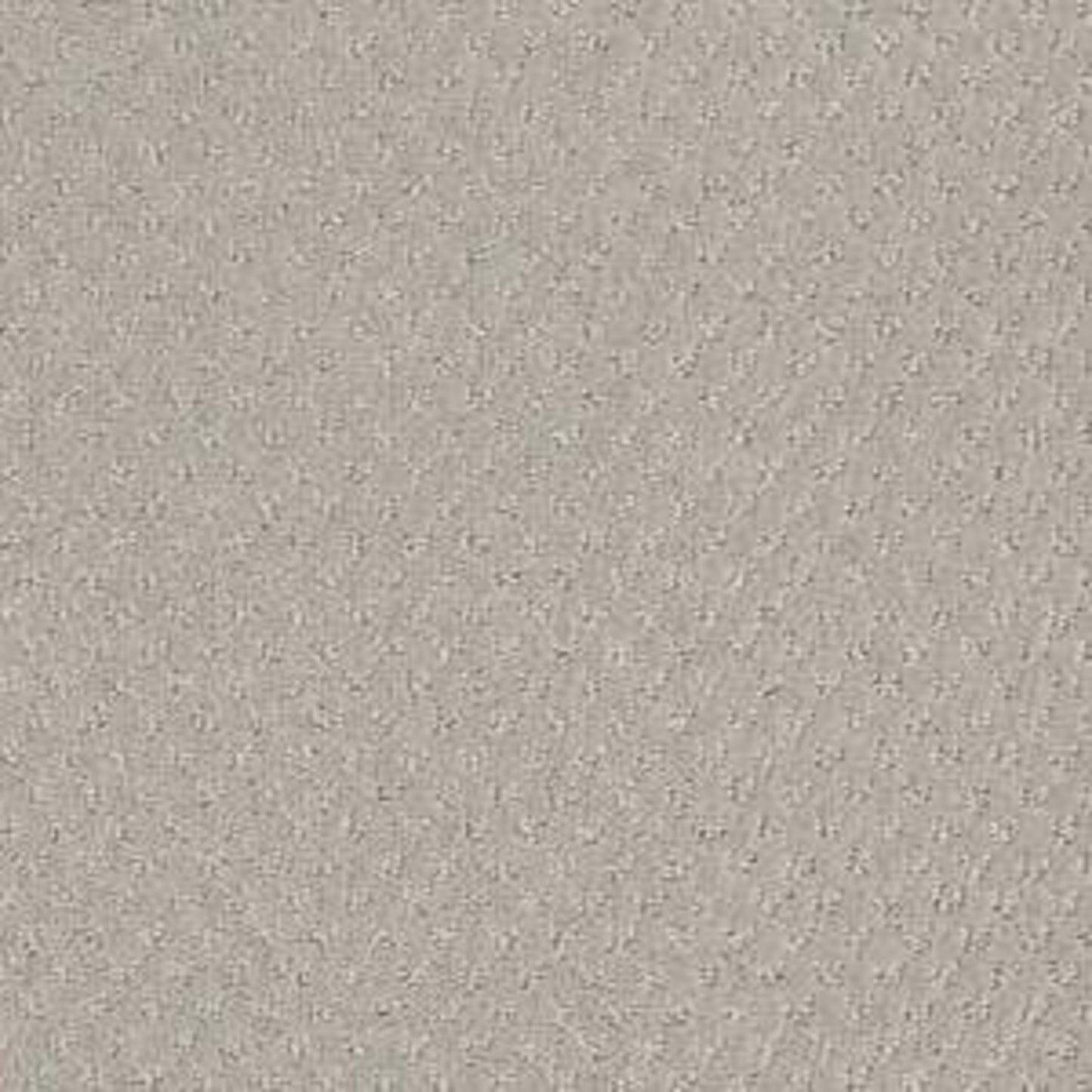 DEL VISTA in Bit Of Gray Carpet