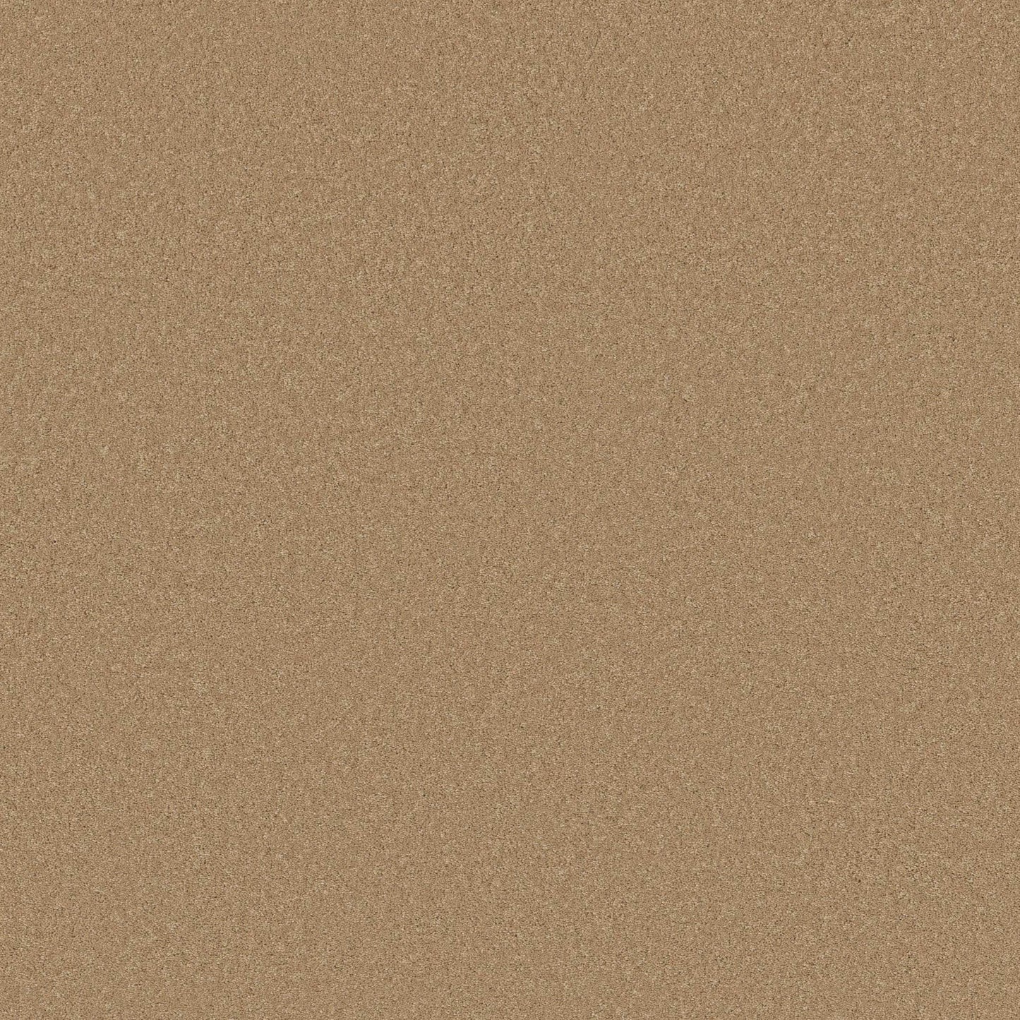 ENDURING CHARM in Winter Wheat Carpet