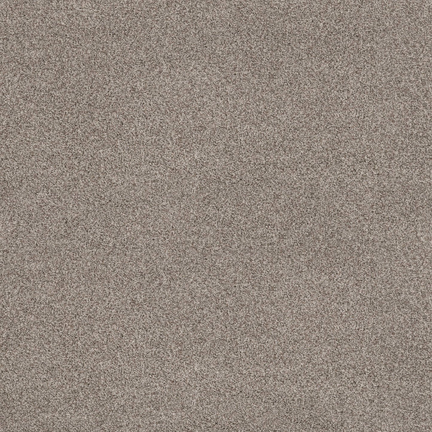 VIA NOVA in Pashmina Carpet