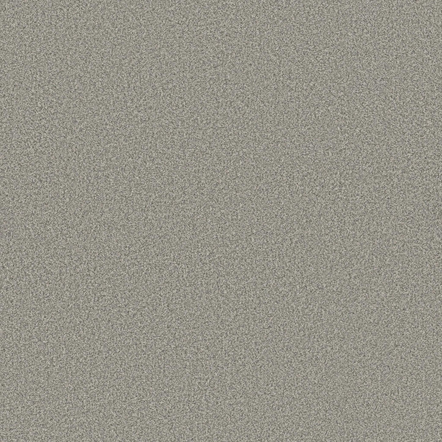 SOMERSET in Platinum Carpet